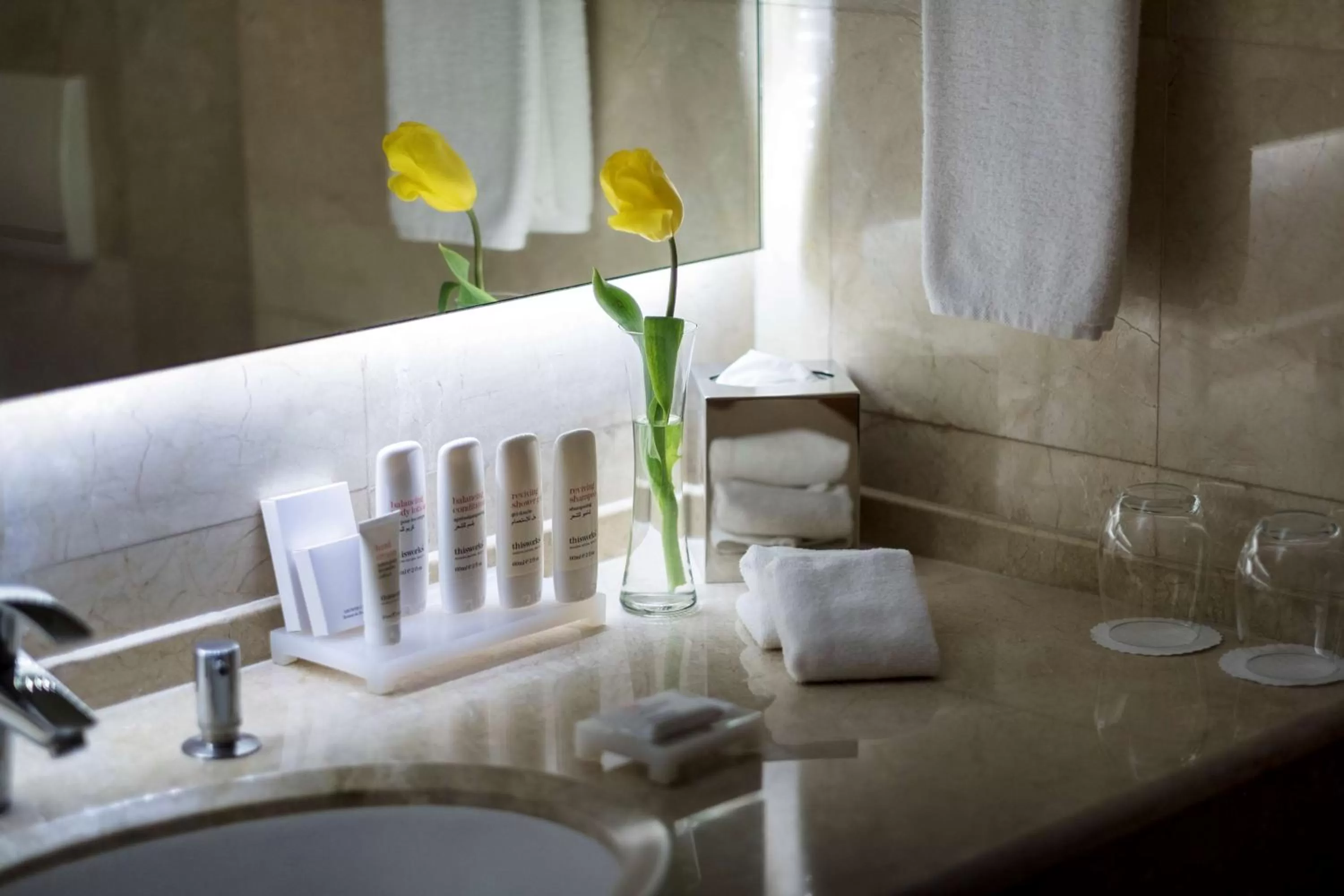 Bathroom in Radisson Blu Hotel, Beirut Verdun