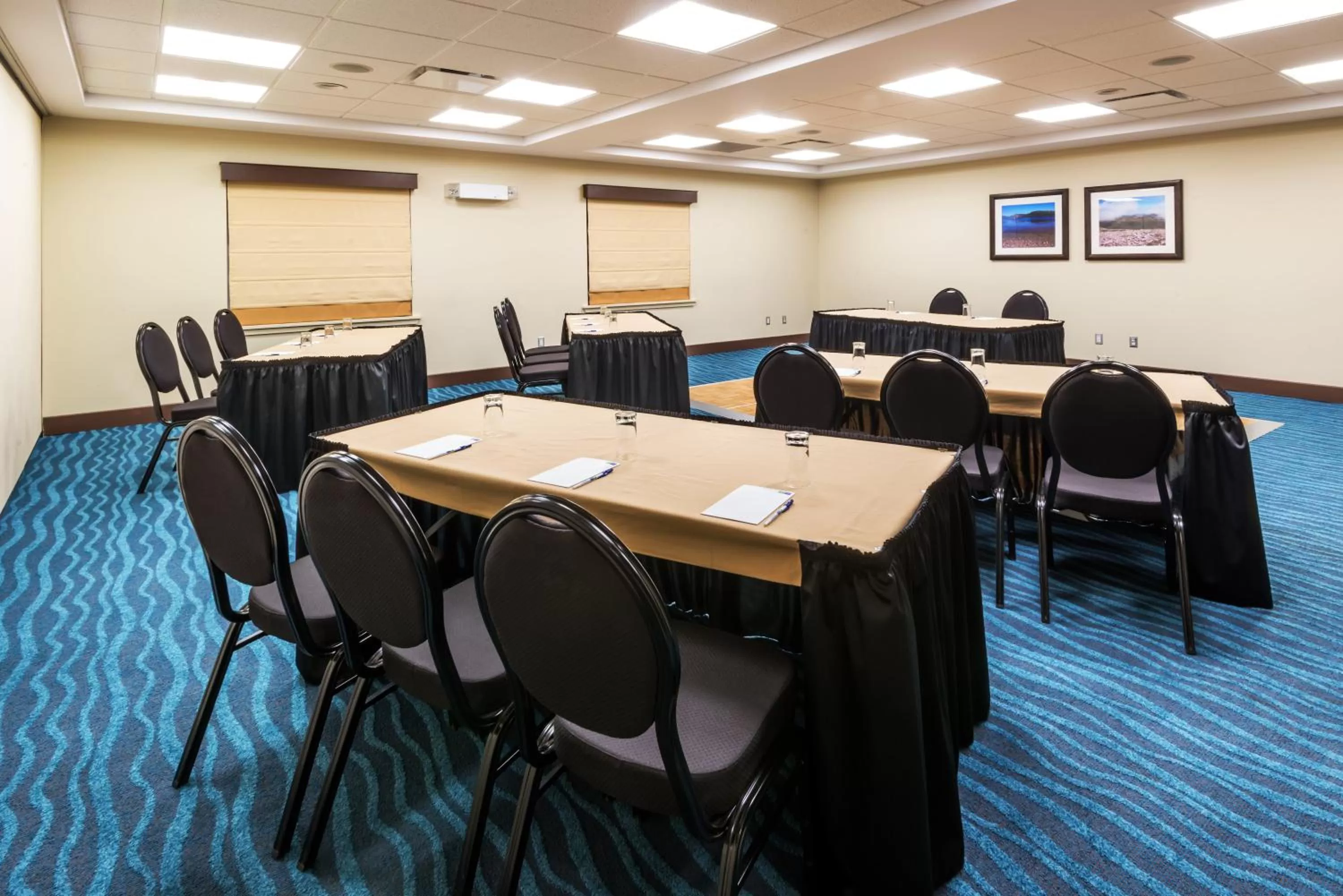 Meeting/conference room in Deer Lake Horizon Hotel, BW Signature Collection