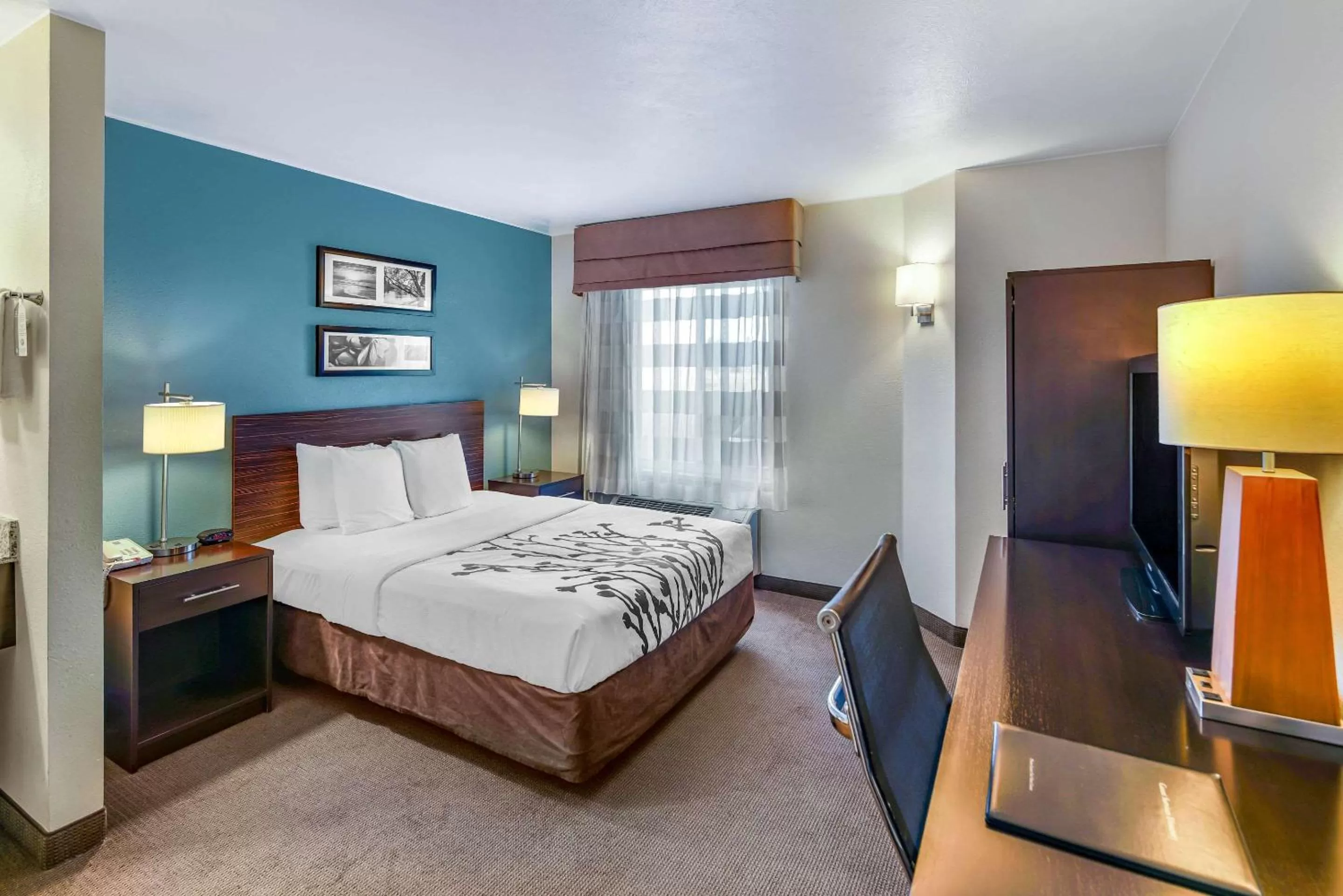 Photo of the whole room, Bed in Sleep Inn near Washington State Line