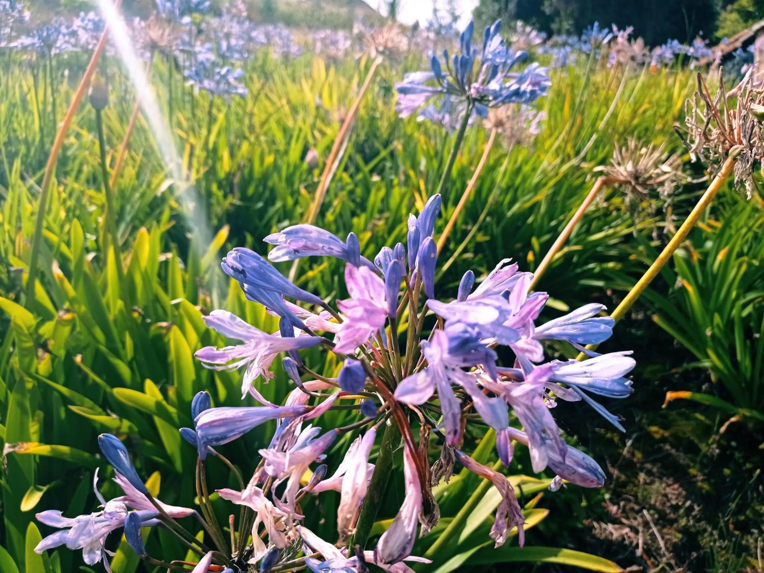 Hotel Refugio Pozo Azul