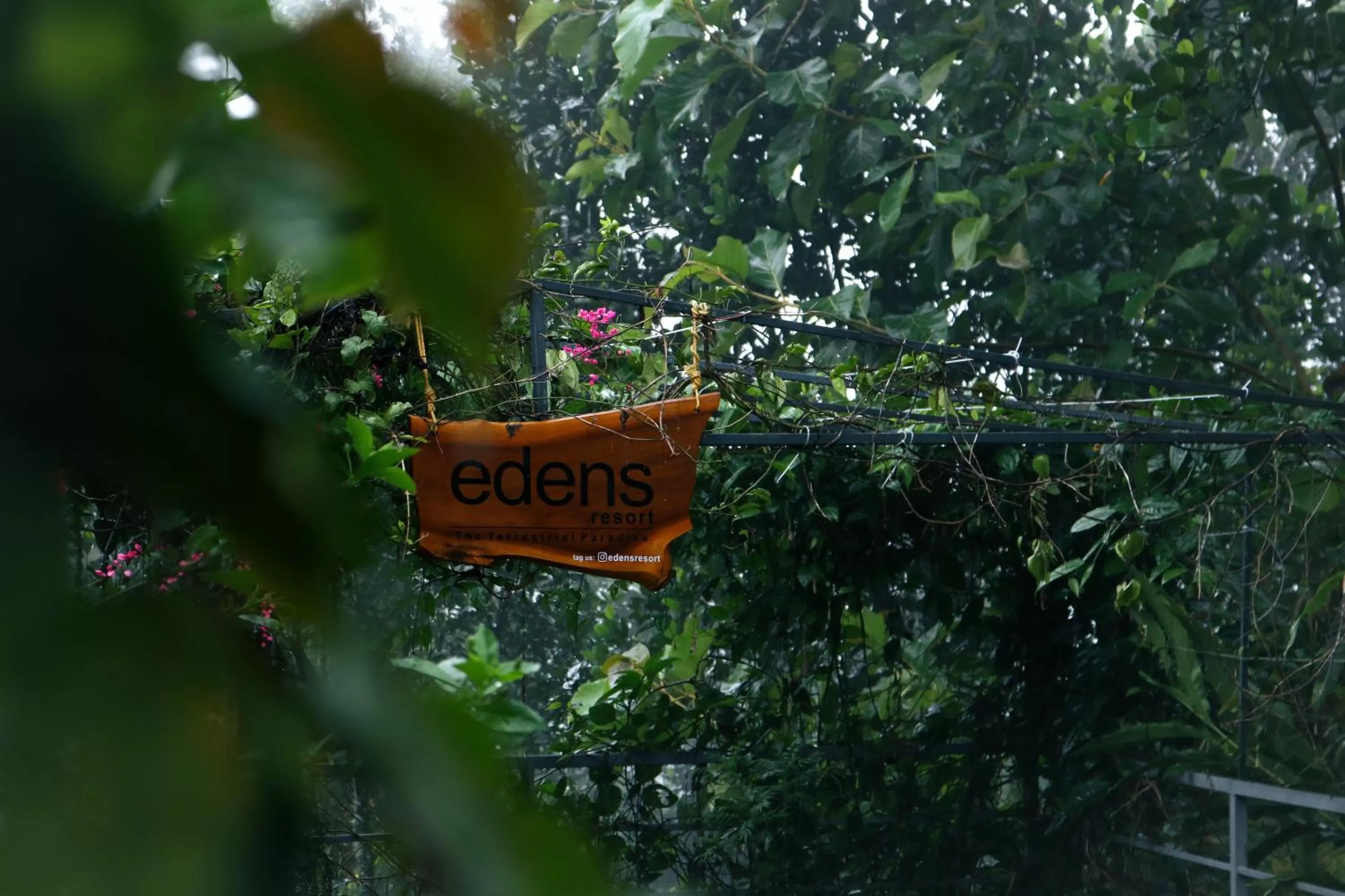 Property building, Property Logo/Sign in Edens Munnar