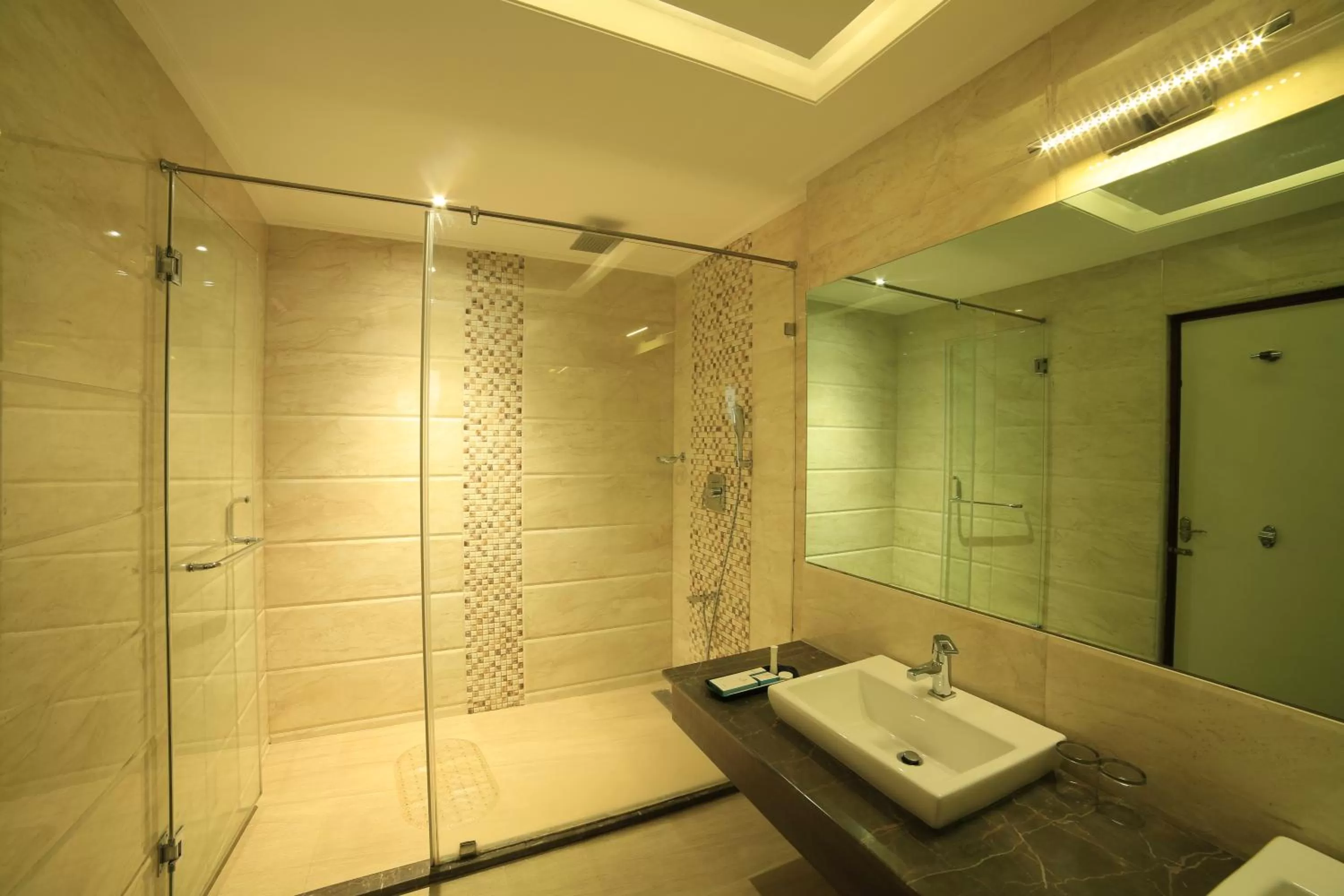 Shower in Hotel AppleTtree