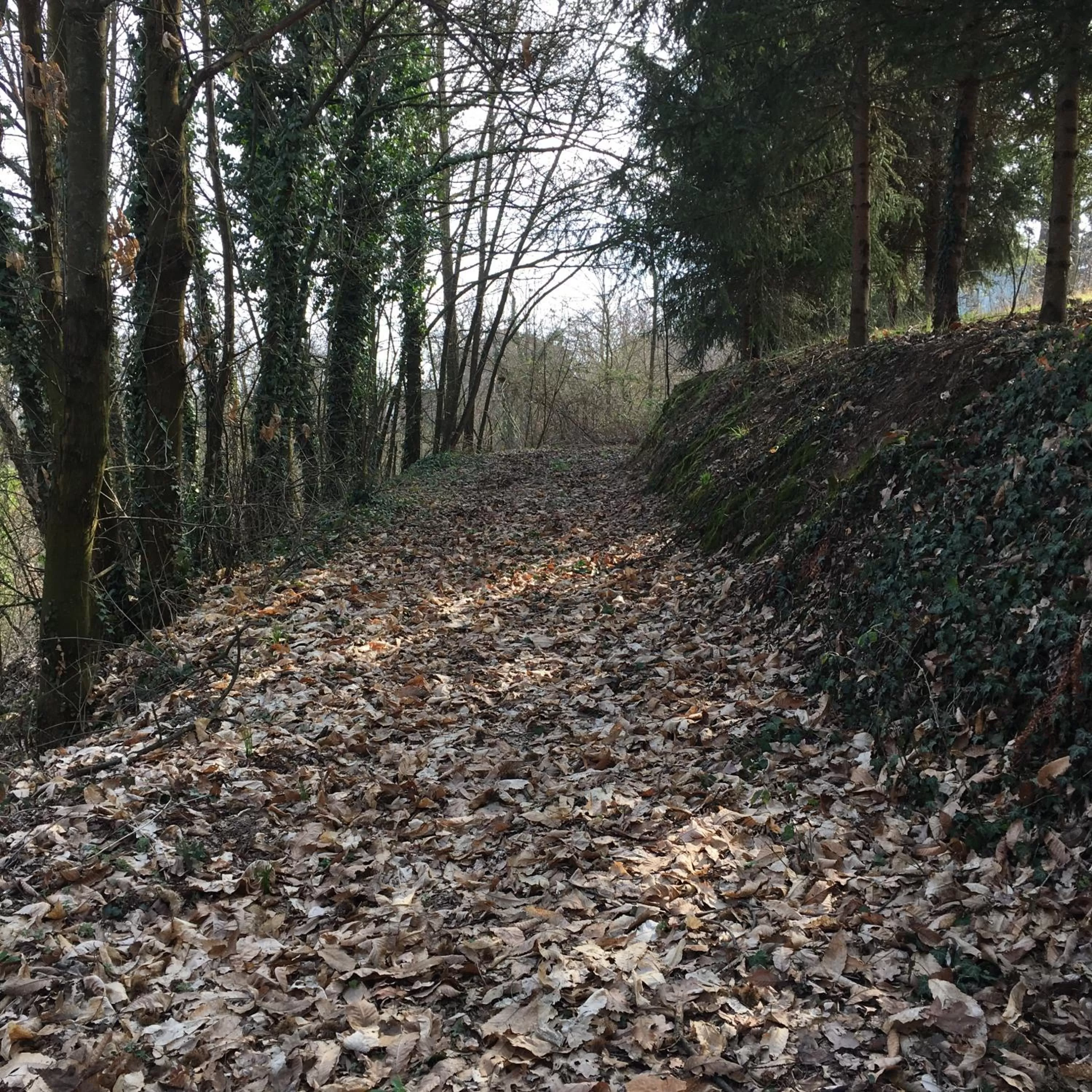 BBQ facilities in B&B La Semplice Nel Verde