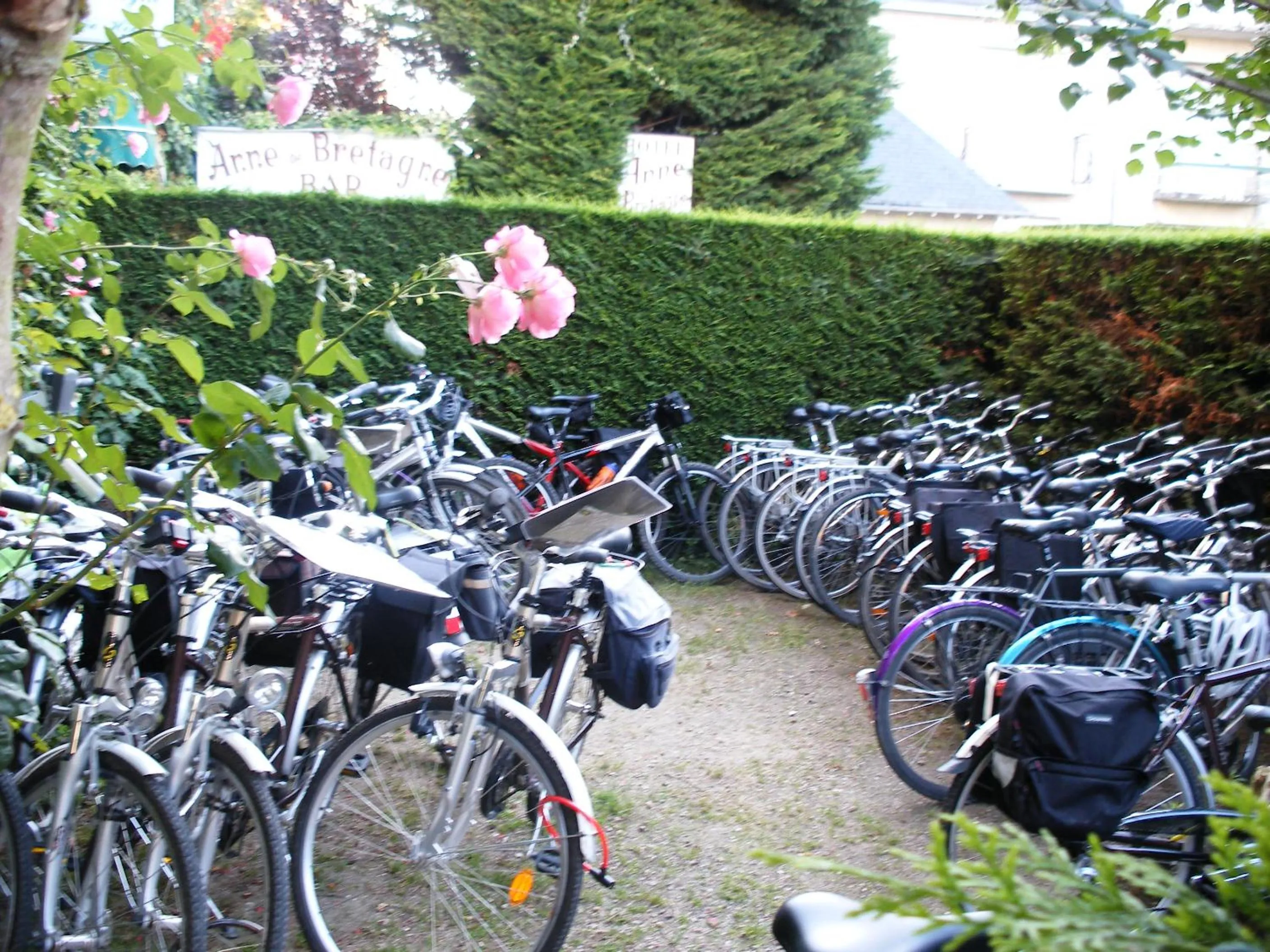 Activities in Hotel Anne De Bretagne BLOIS