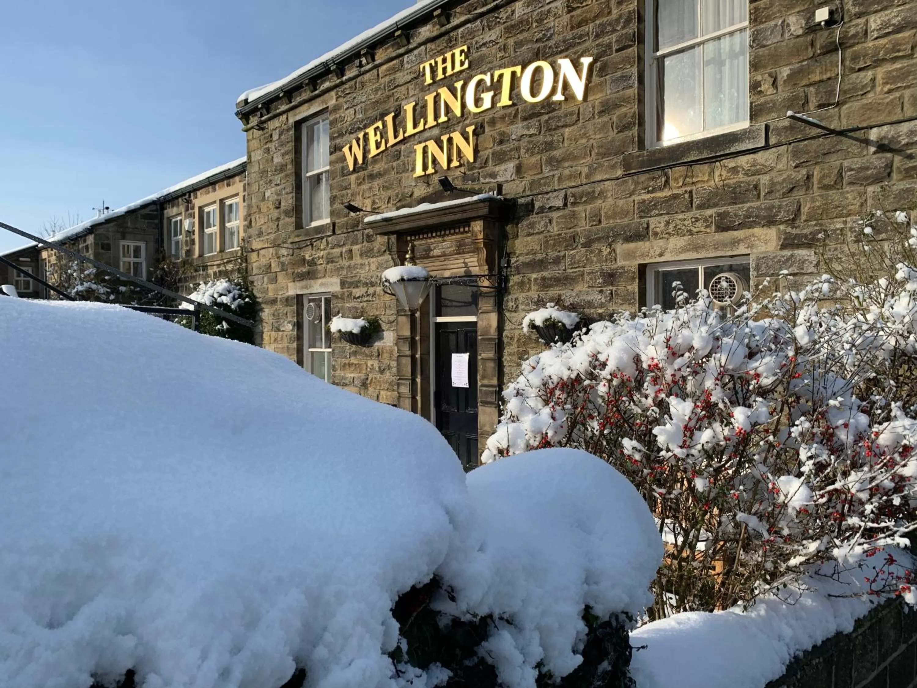 Garden in Wellington Inn