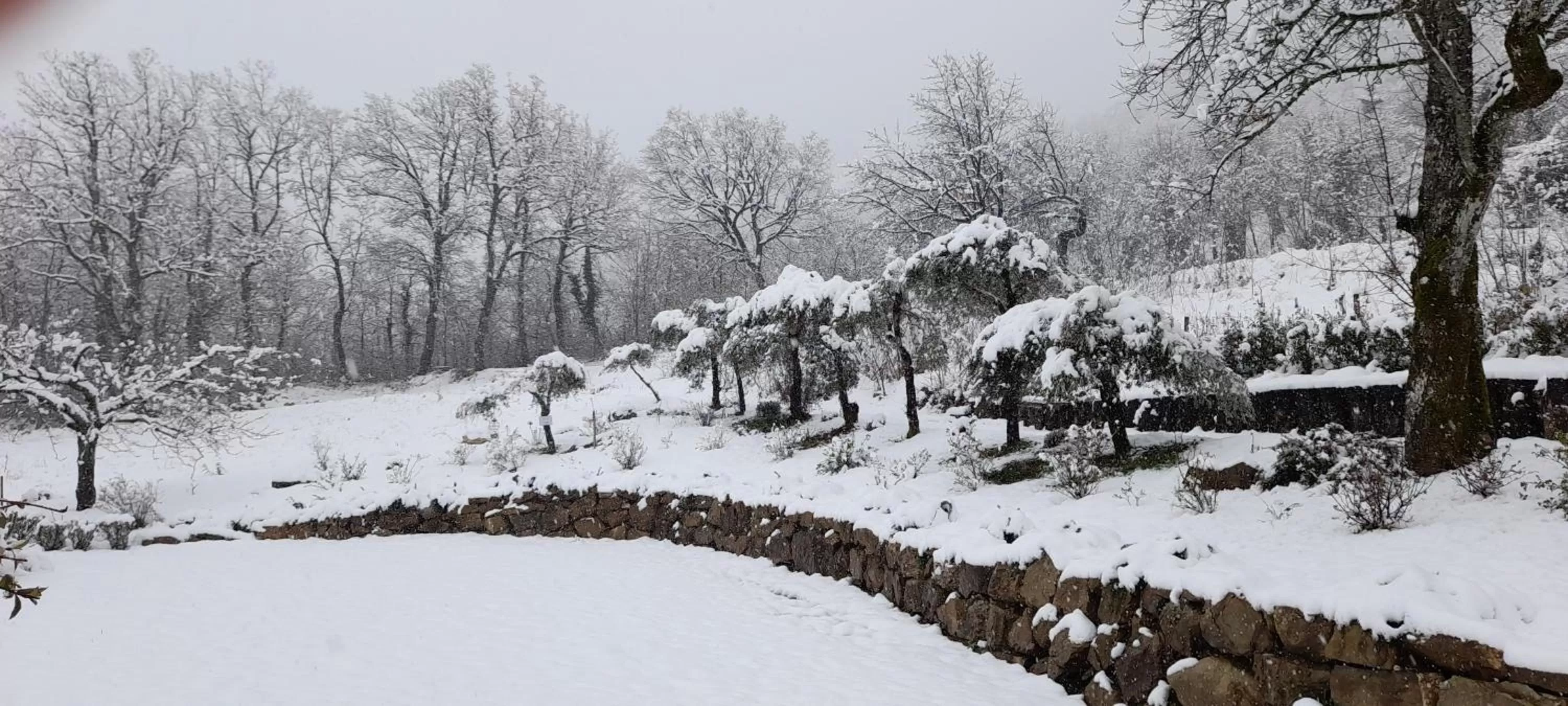 Masseria boutique b&b