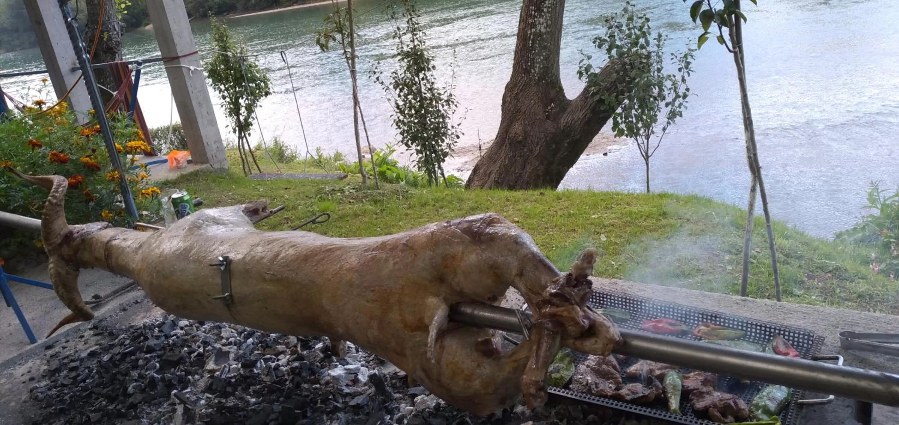 Other Animals in Prenoćište na Drini Foča