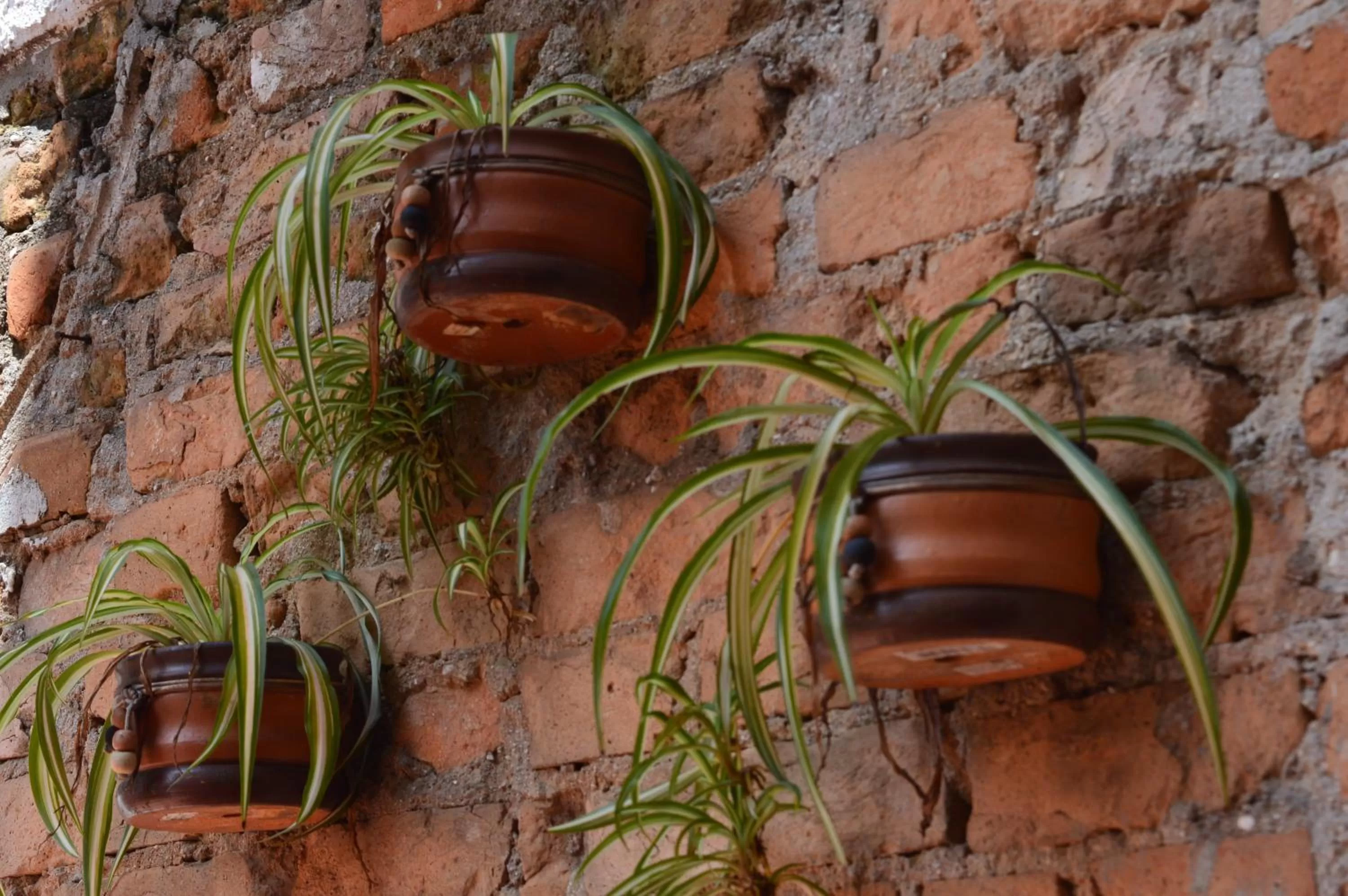 Facade/Entrance in Pousada dos Franceses