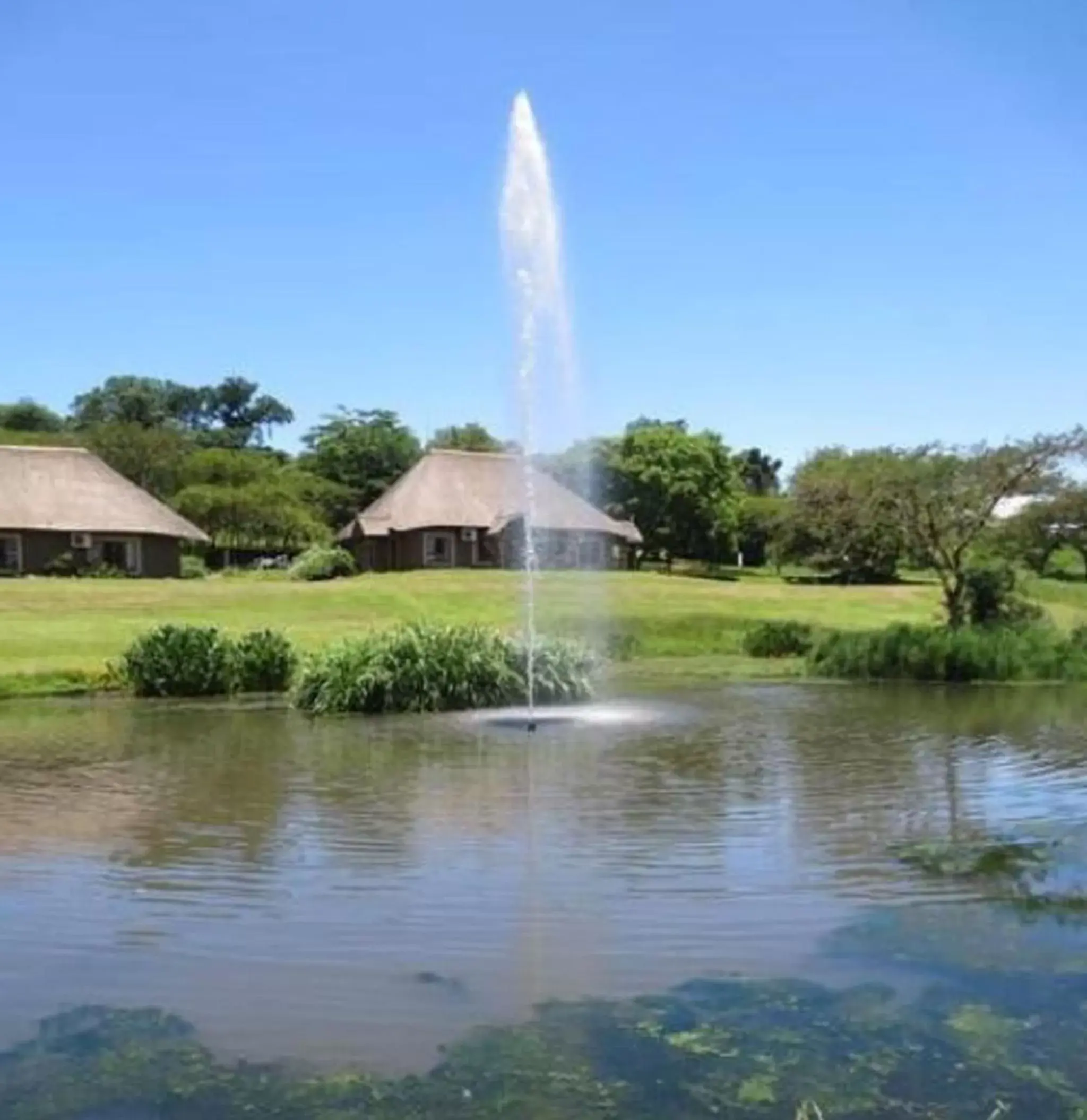 Ascot Bush Lodge Ascot Bush Lodge