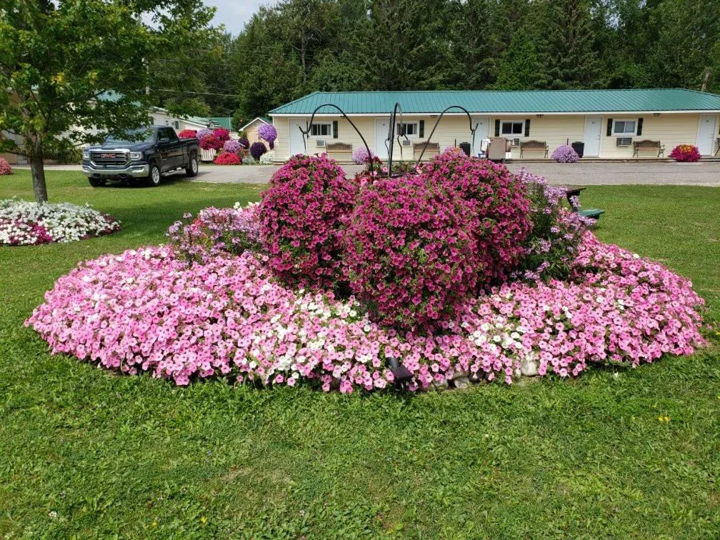 Sunset Motel at Armand's Gardens