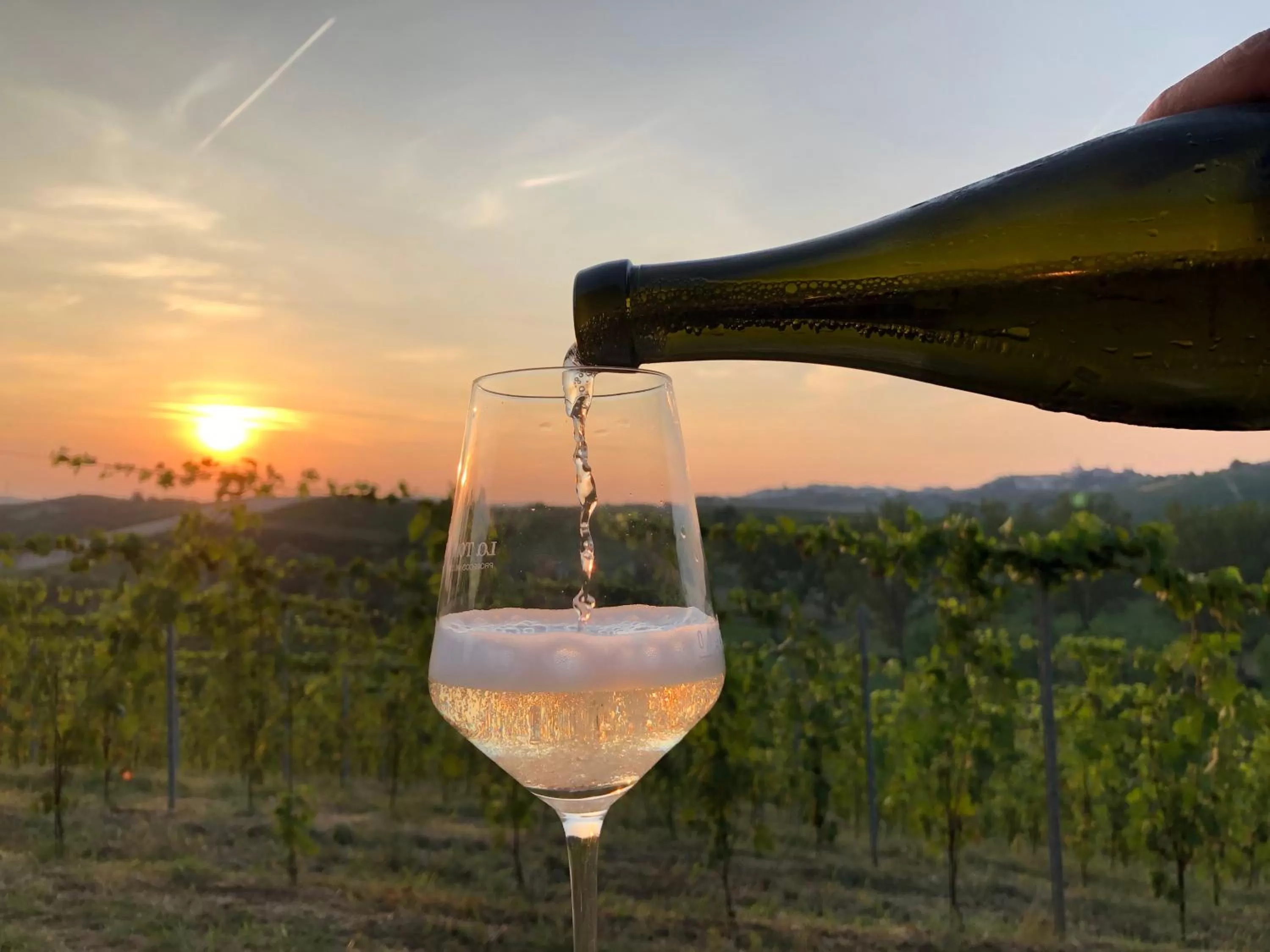 Natural landscape in Villa Vigneto