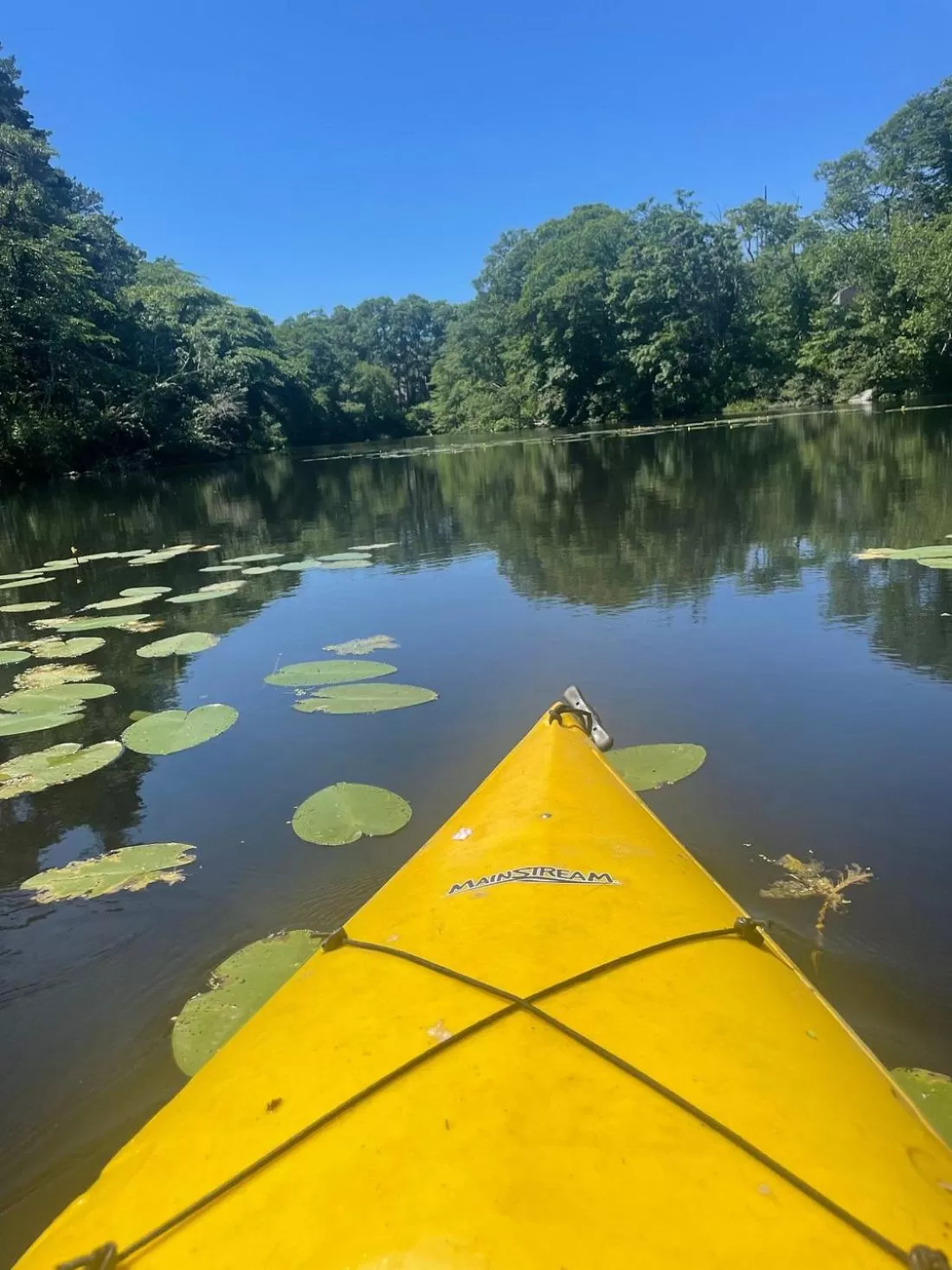 Natural landscape, Lake View in Herring Run Motel and Tiny Cabins