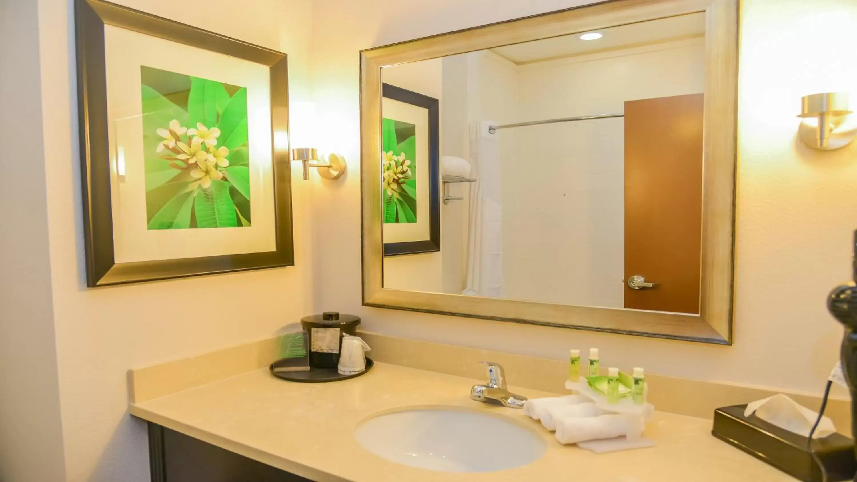 Standard Queen Room with Two Queen Beds in Holiday Inn Express Hotels & Suites Cuero by IHG Standard Queen Room with Two Queen Beds in Holiday Inn Express Hotels & Suites Cuero by IHG