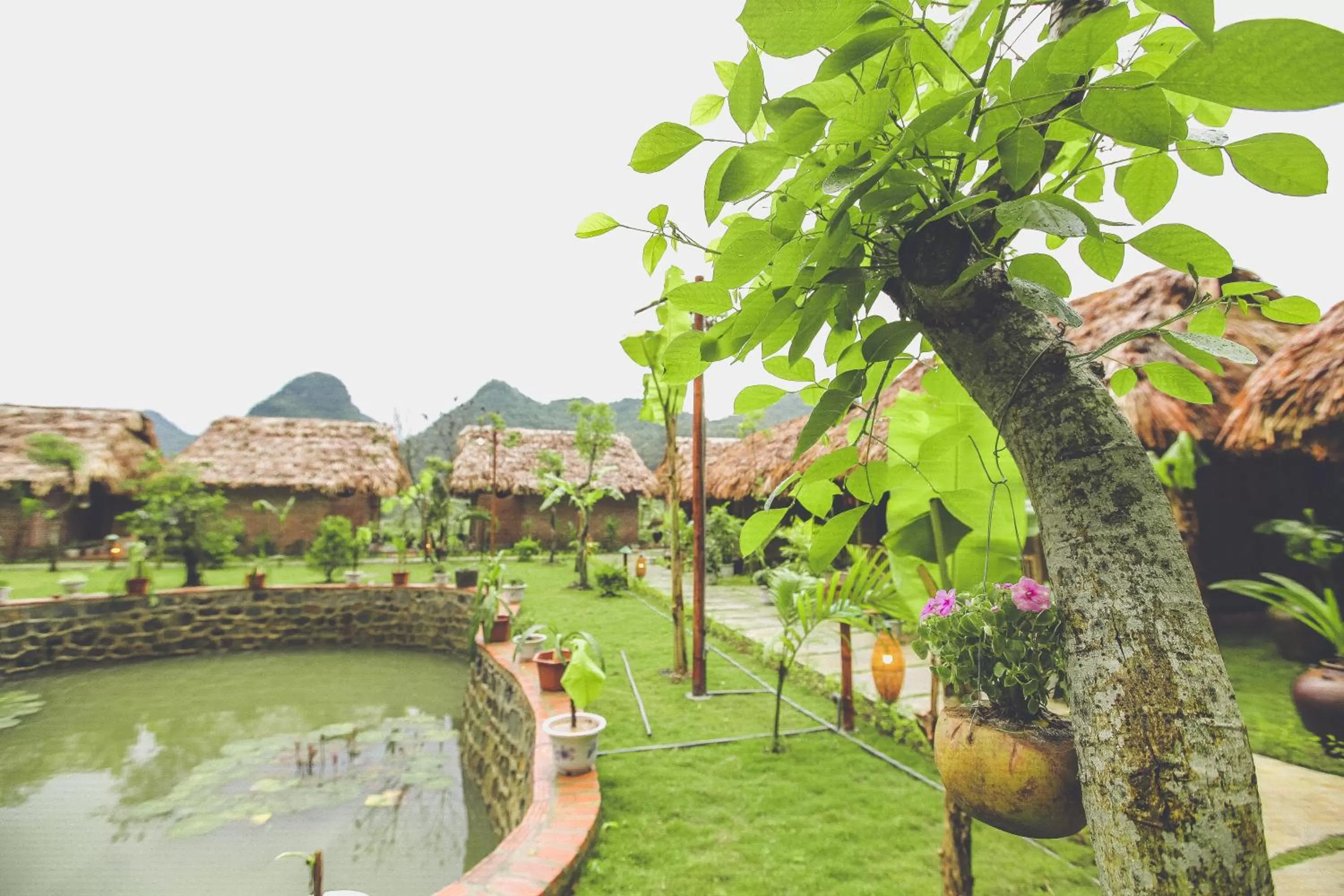 Natural landscape in Tam Coc Rice Fields Resort