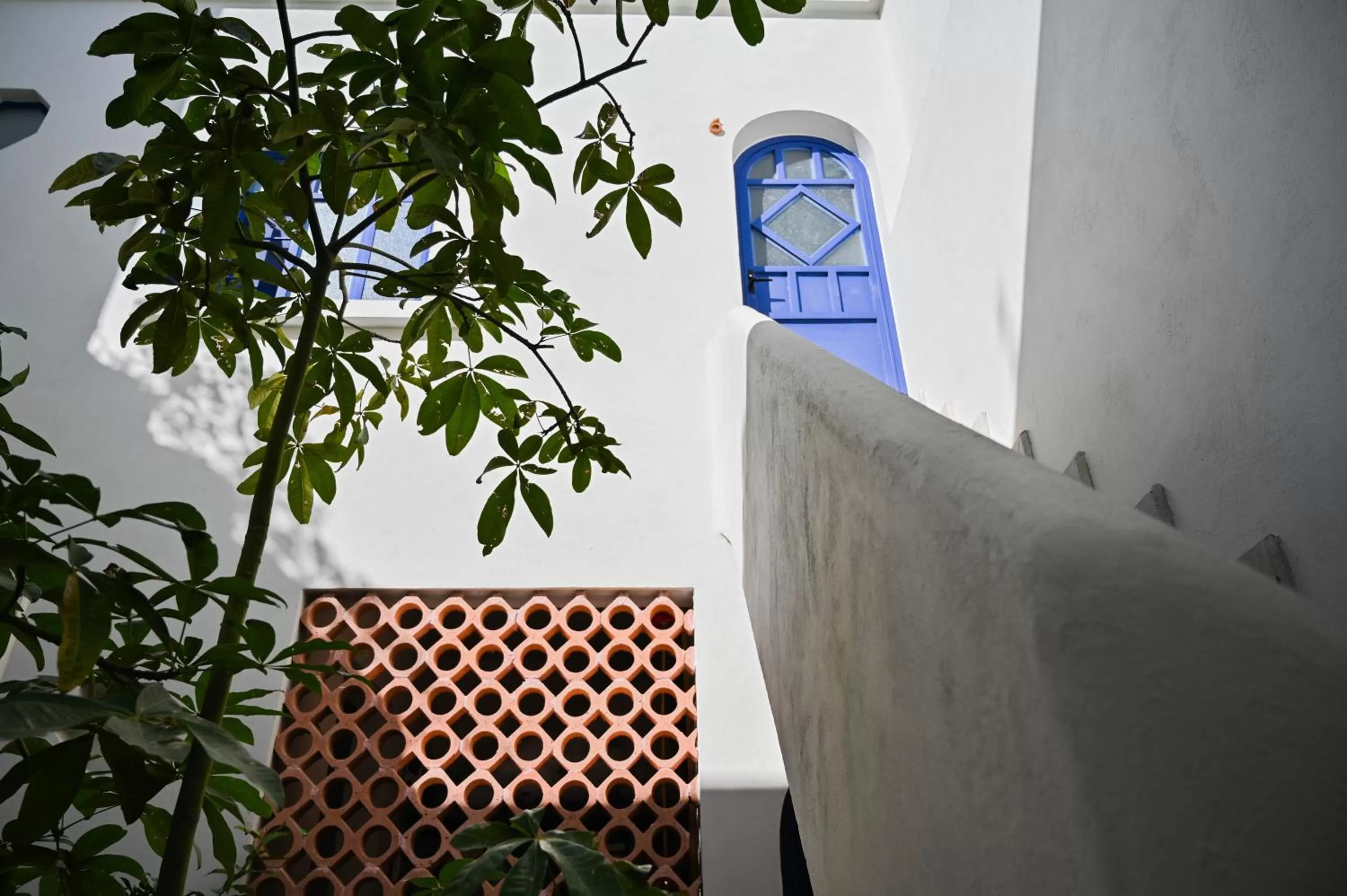 Casa Kali by Barrio México