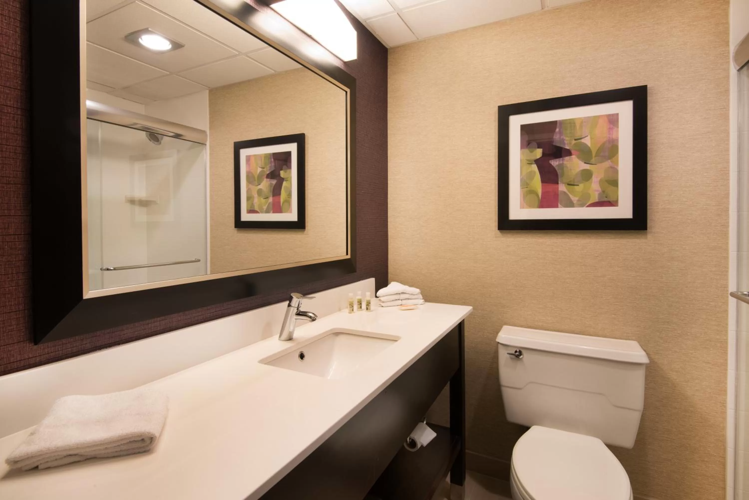 Bathroom in Holiday Inn Williamsport by IHG
