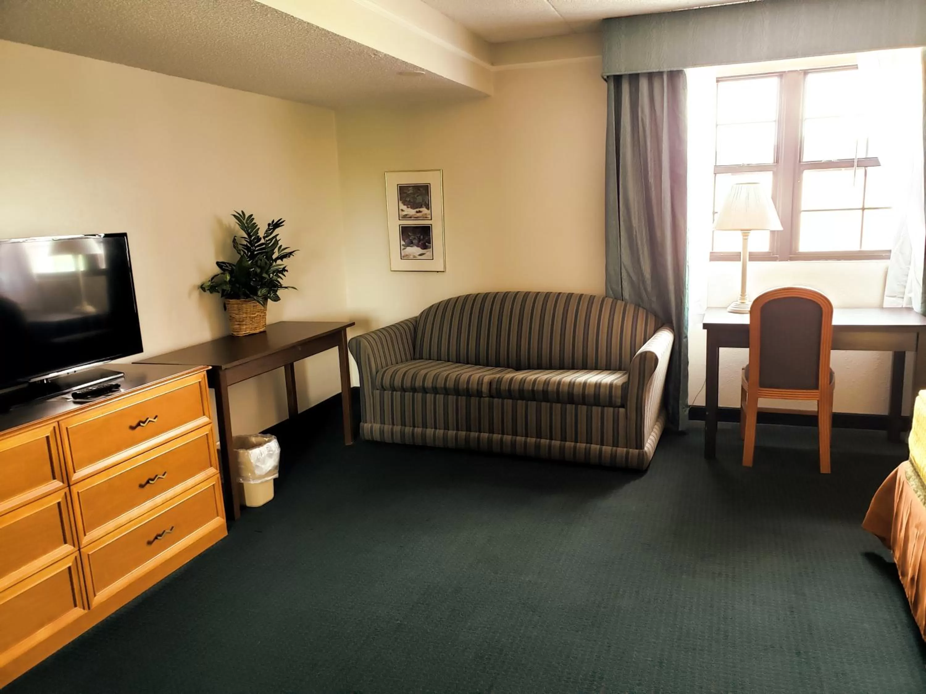 Studio King Suite - Smoking in Days Inn by Wyndham Richmond/South