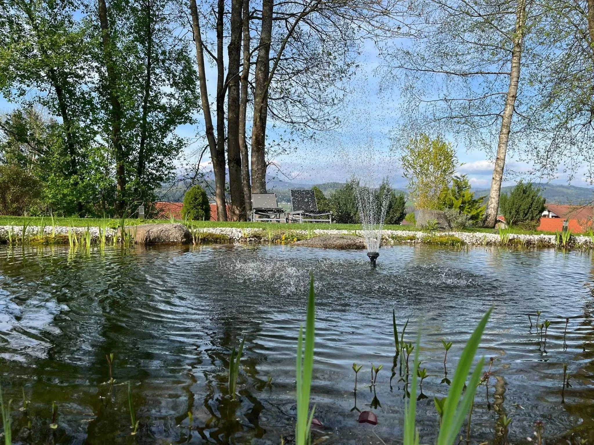 Garden in Hotel Sonnenhof - Superior