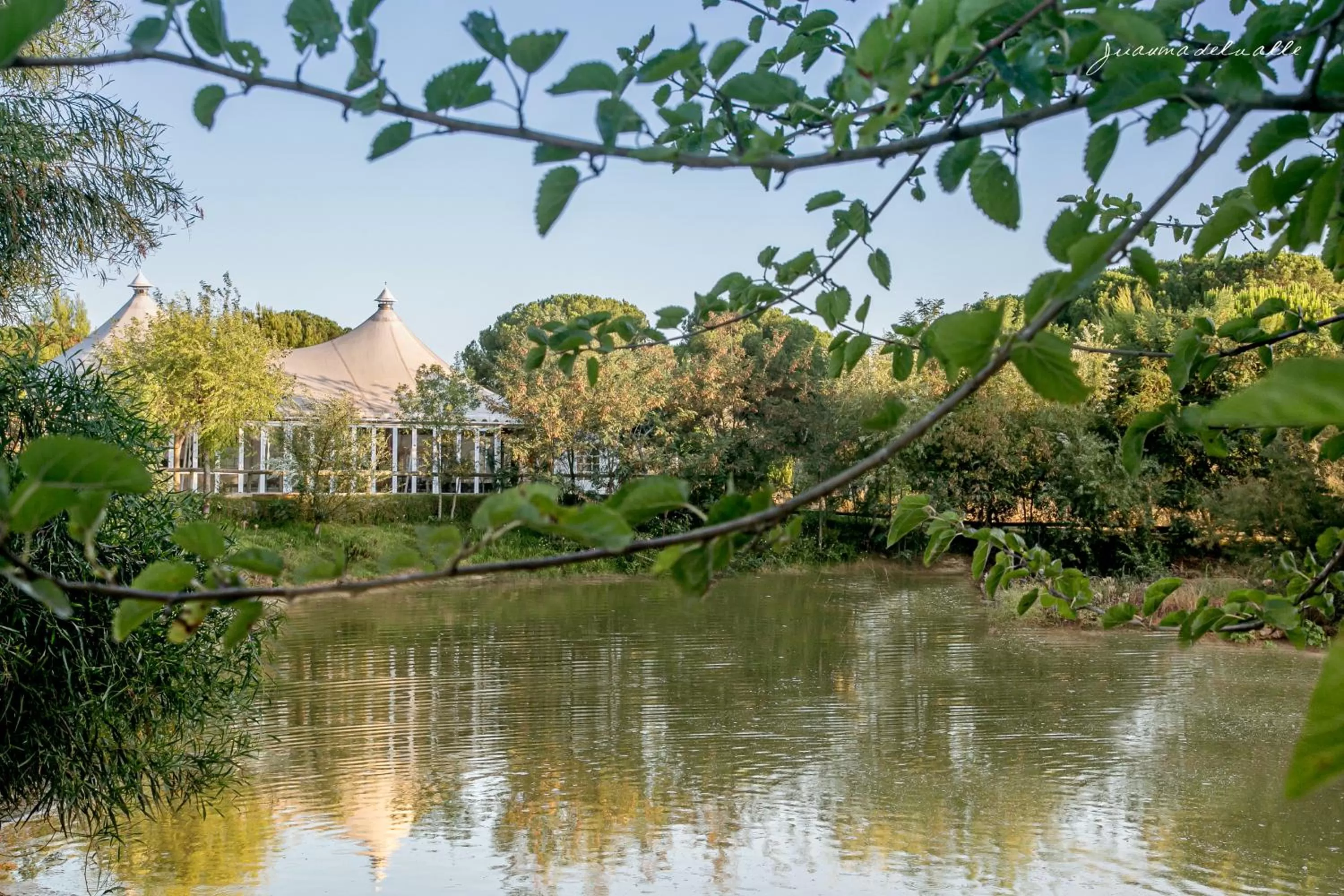 Banquet/Function facilities in Ardea Purpurea