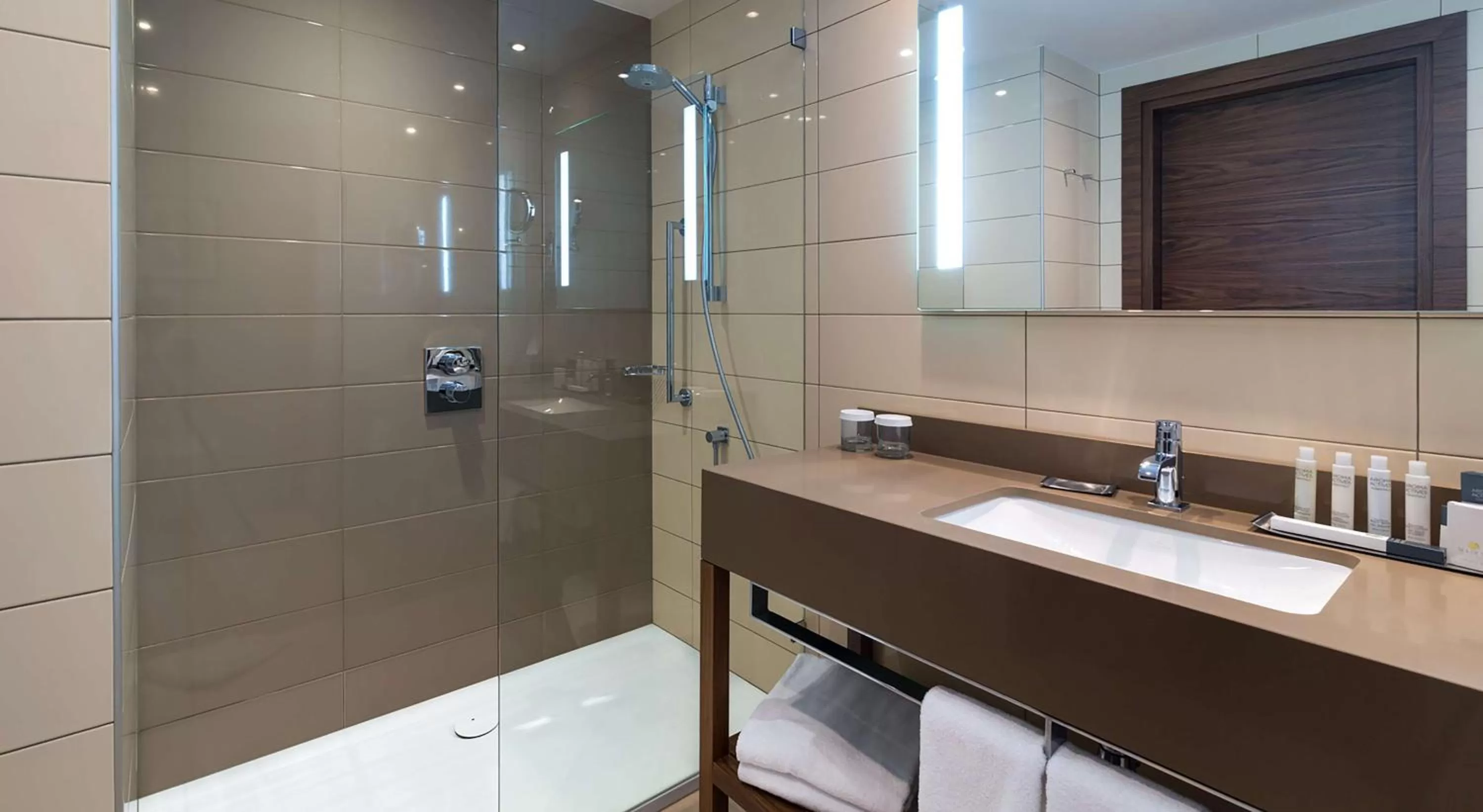 Bathroom in DoubleTree by Hilton Krakow Hotel & Convention Center