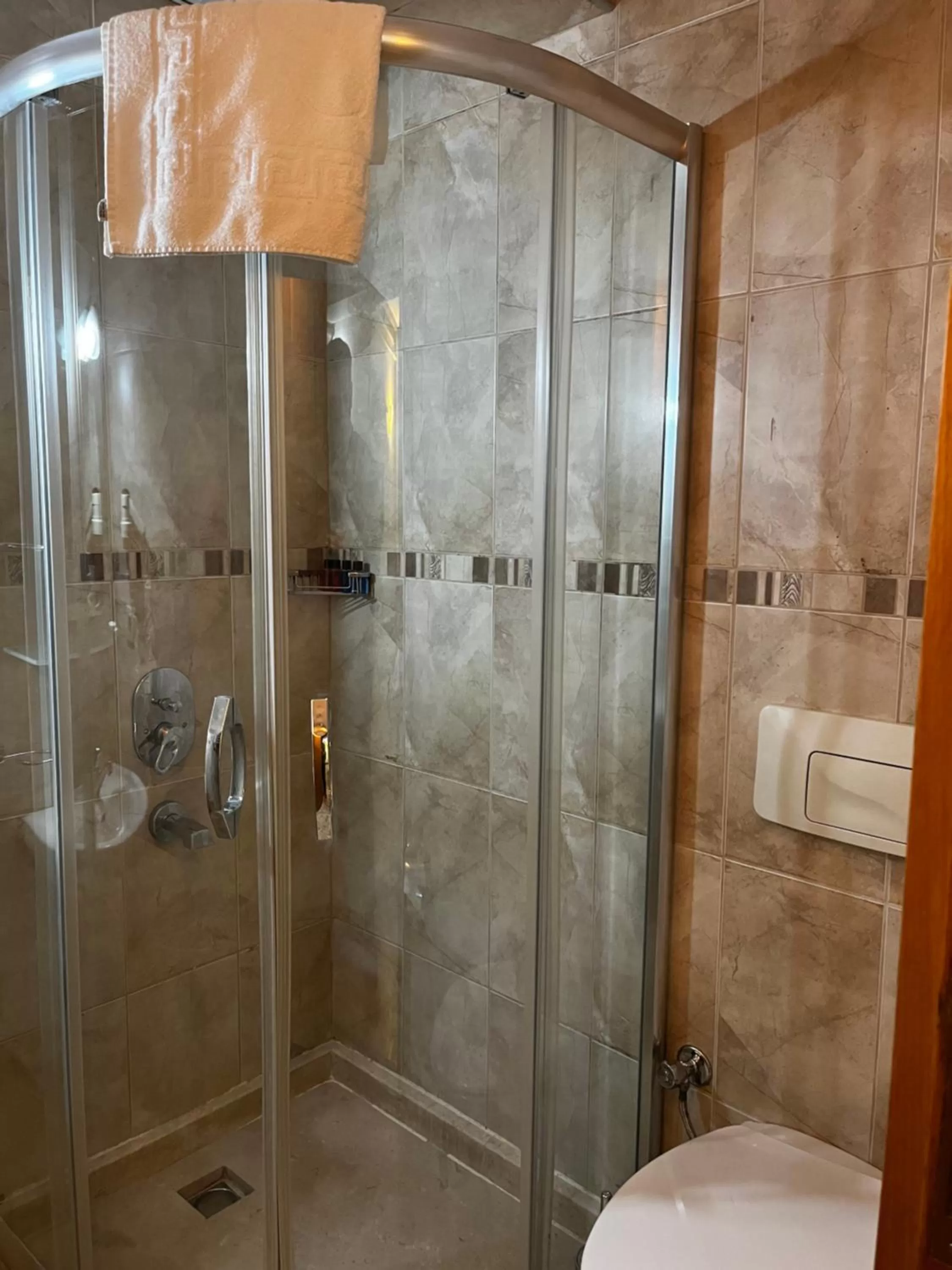 Shower, Bathroom in Grand Peninsula Hotel