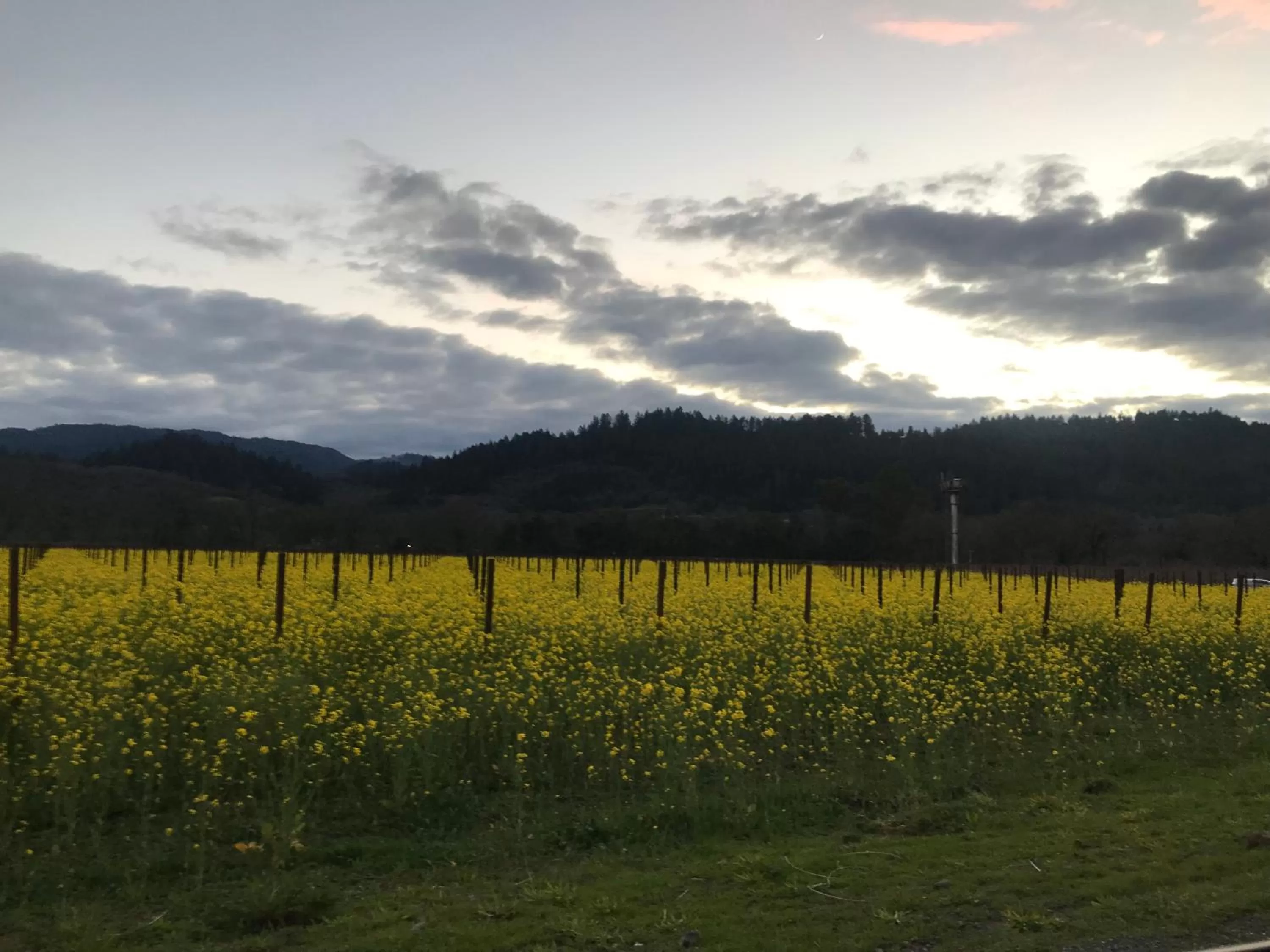 Activities in Chardonnay Lodge