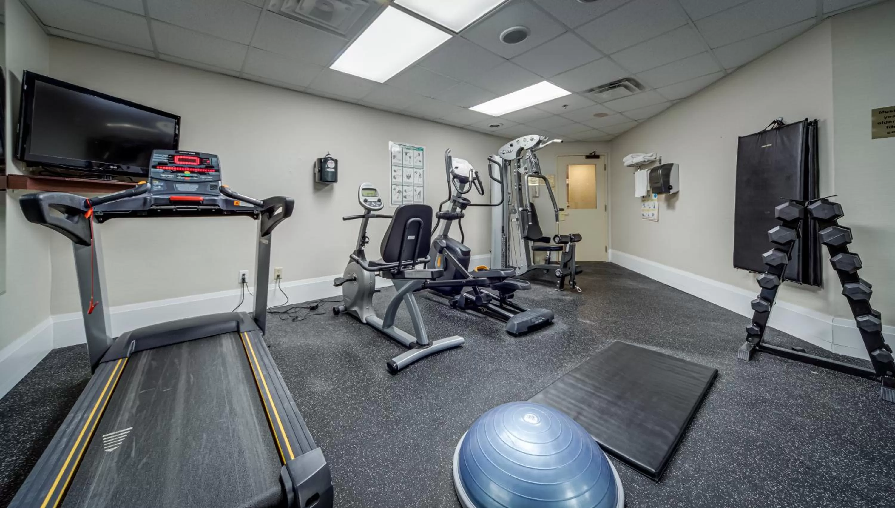 Fitness centre/facilities in Monte Carlo Inn Vaughan Suites