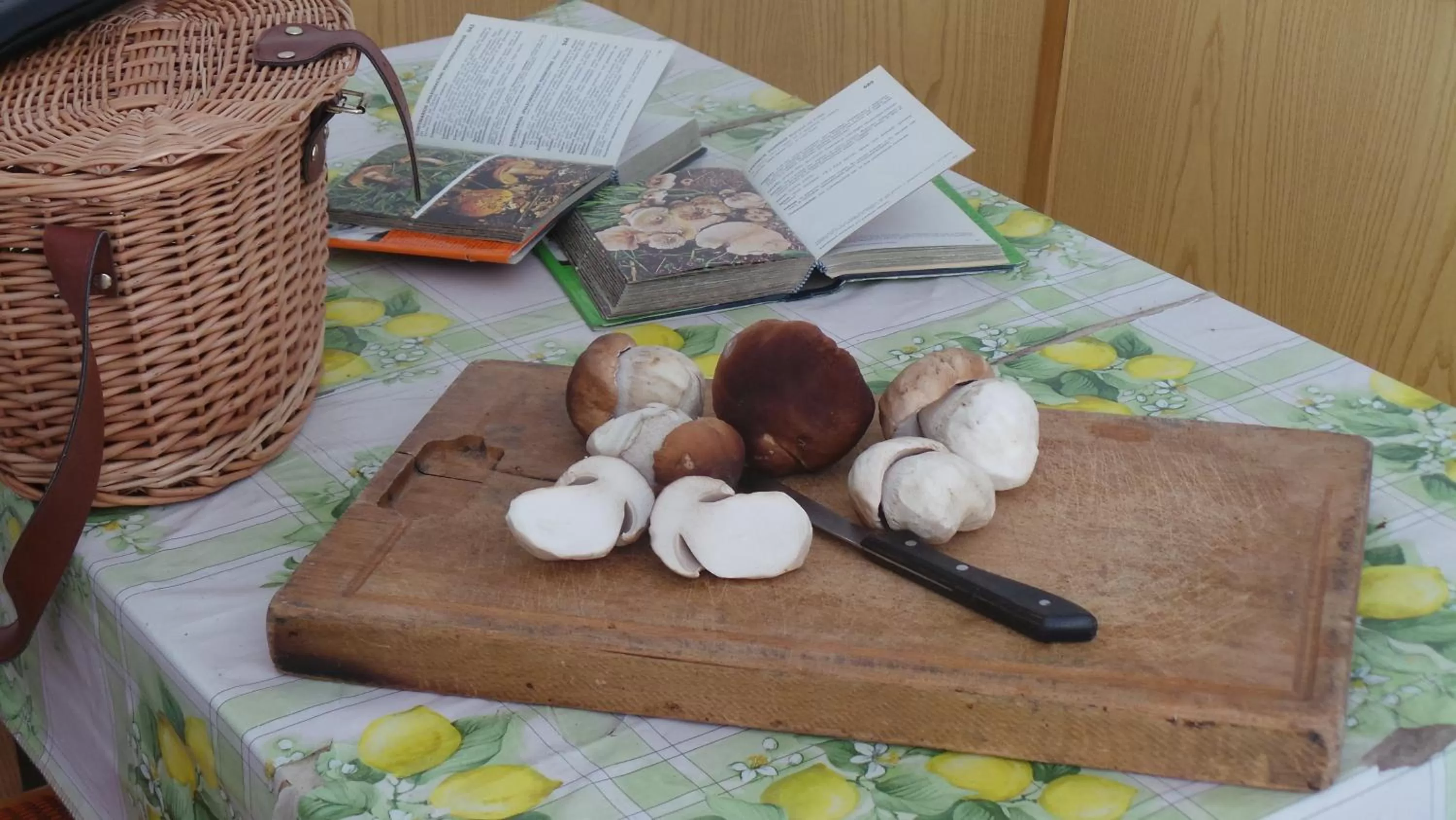 Activities in Albergo Antico