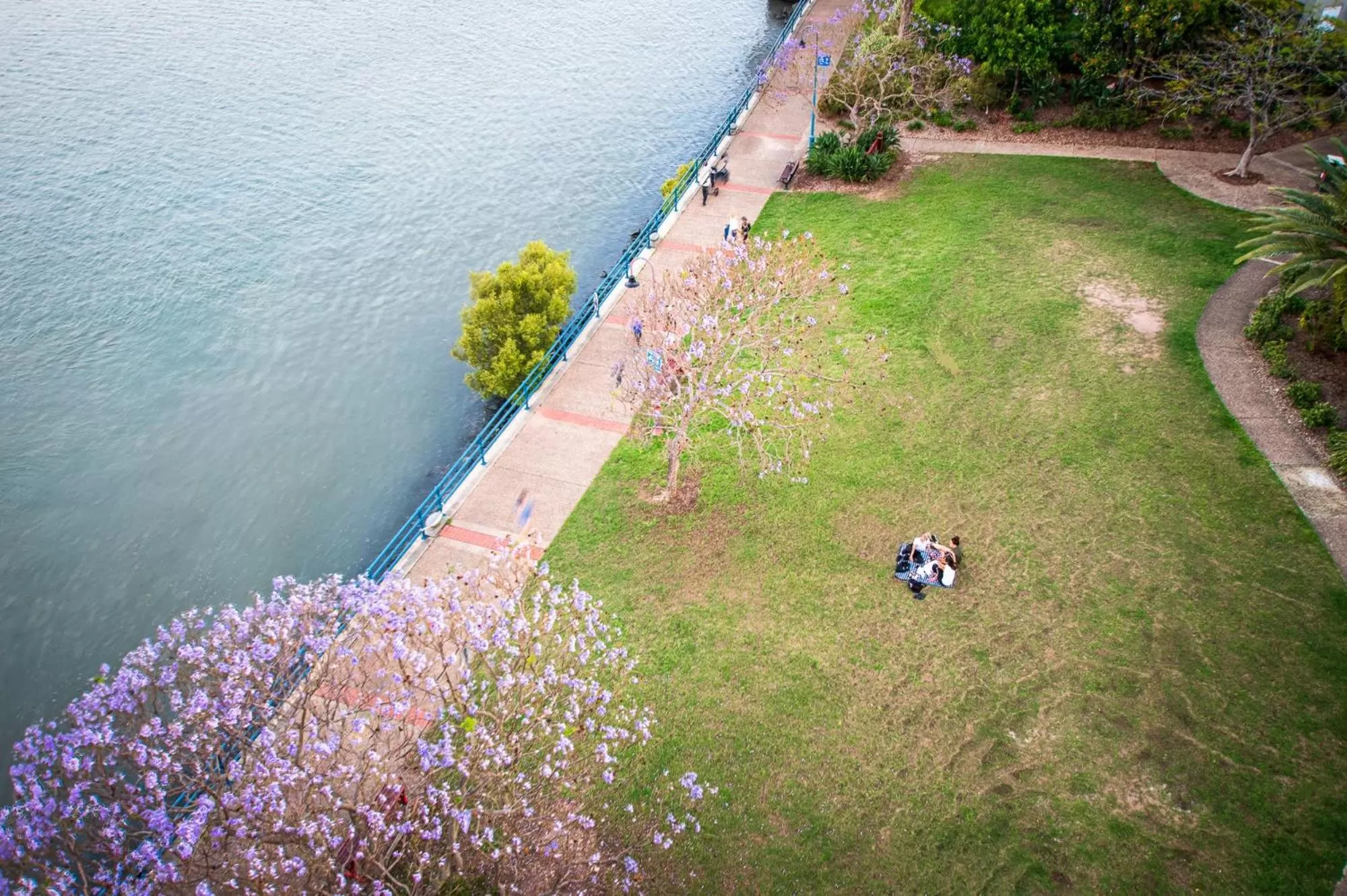 Garden in Goldsborough Place Apartments