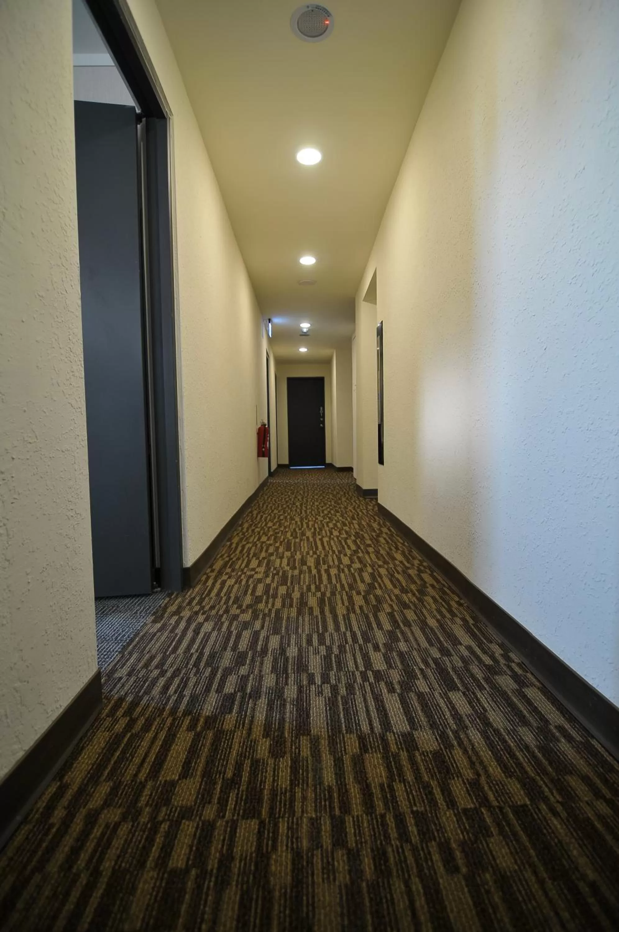 Other in Century Hotel