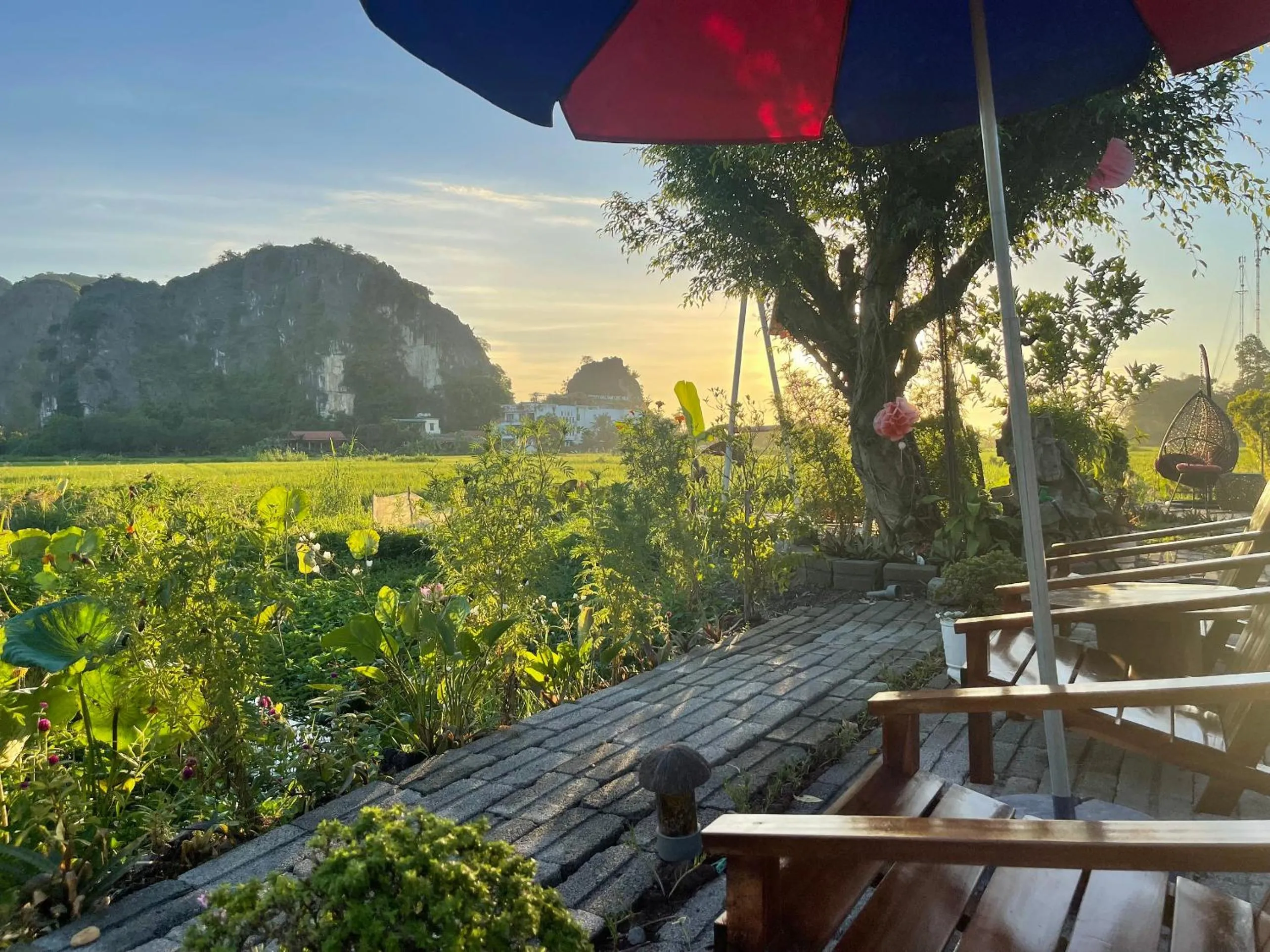 Tam Coc Mountain View Homestay