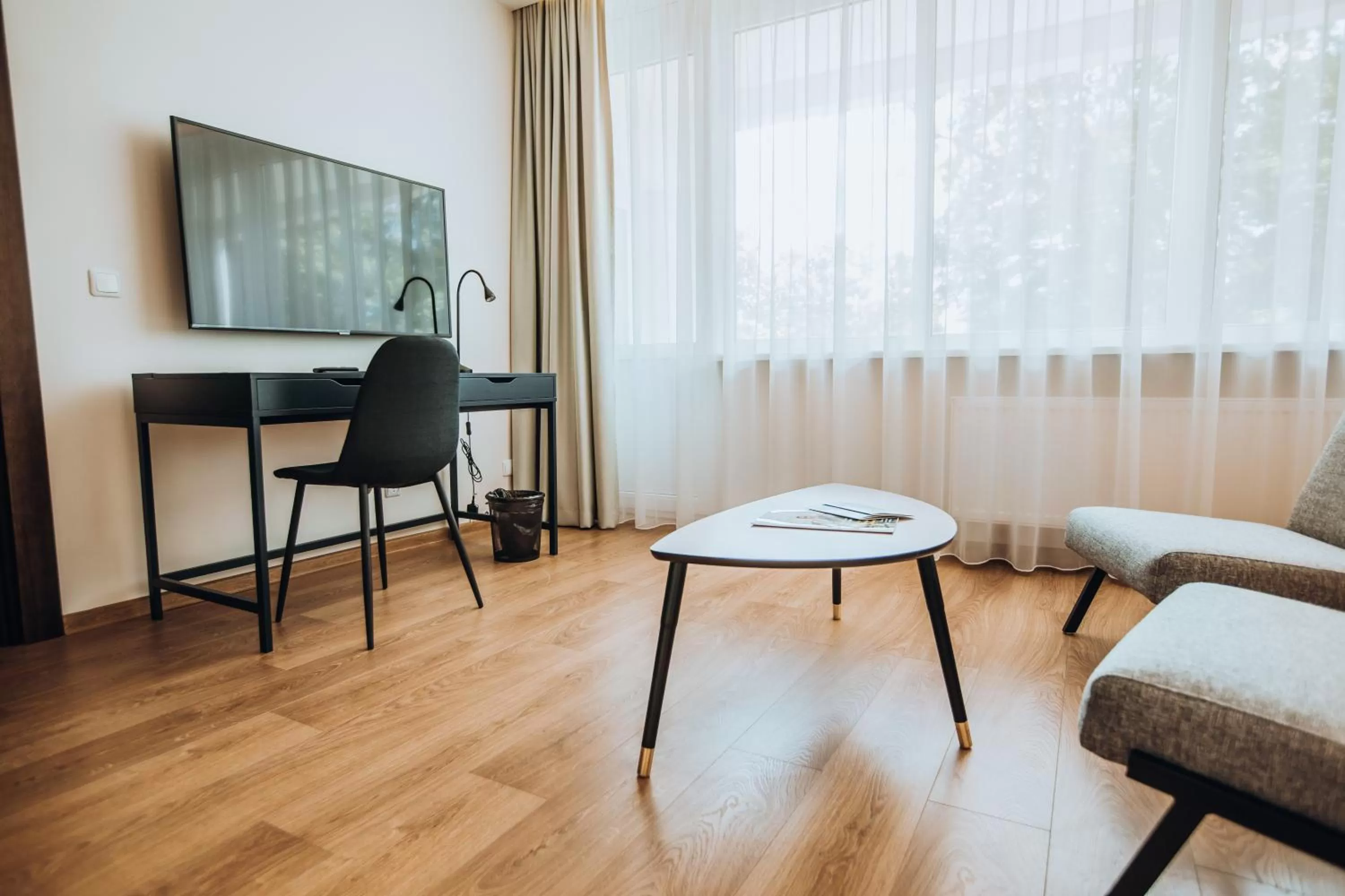 TV and multimedia in Žilvinas Hotel