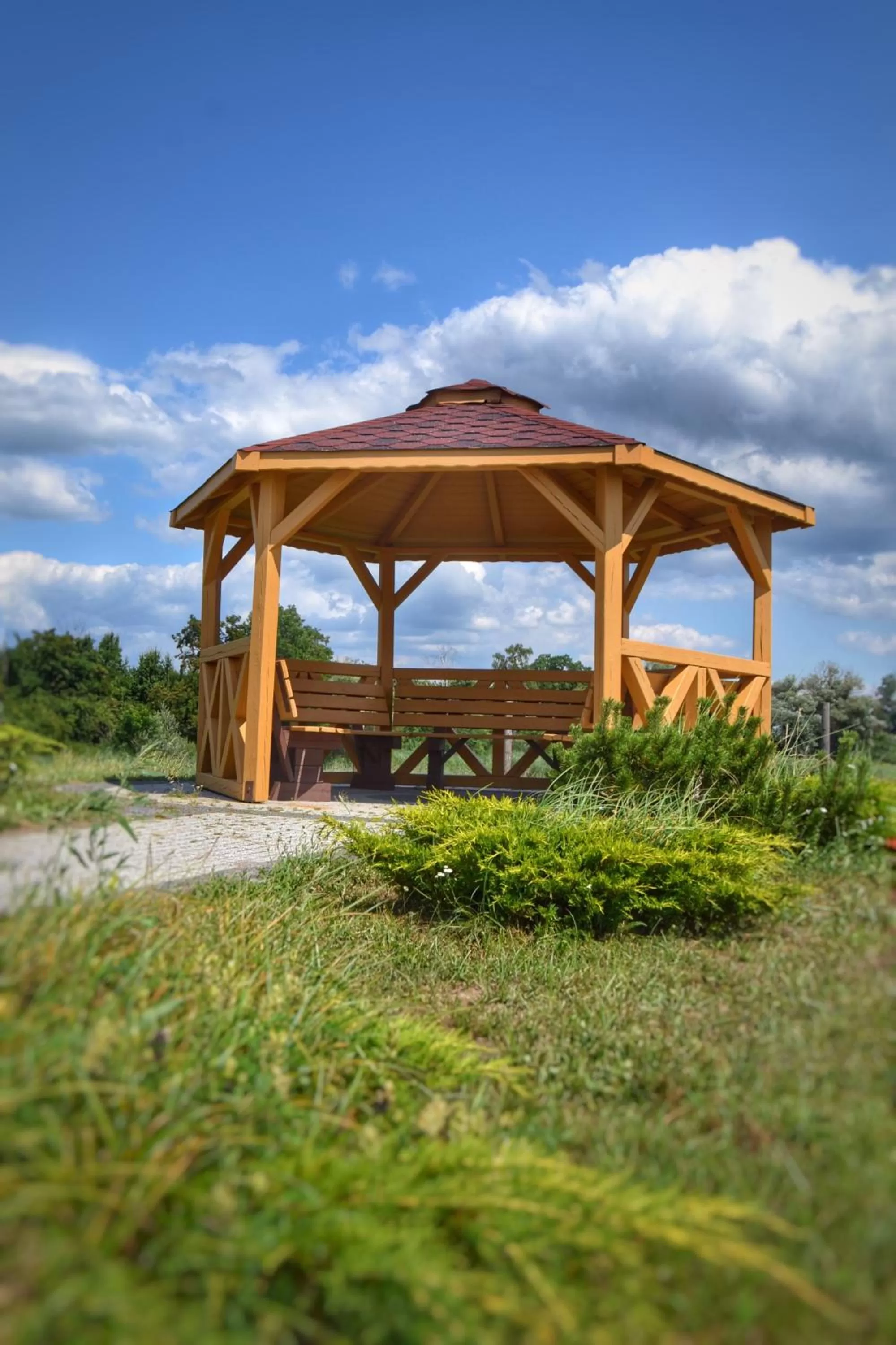 Natural landscape in Hotel & Browar Słociak