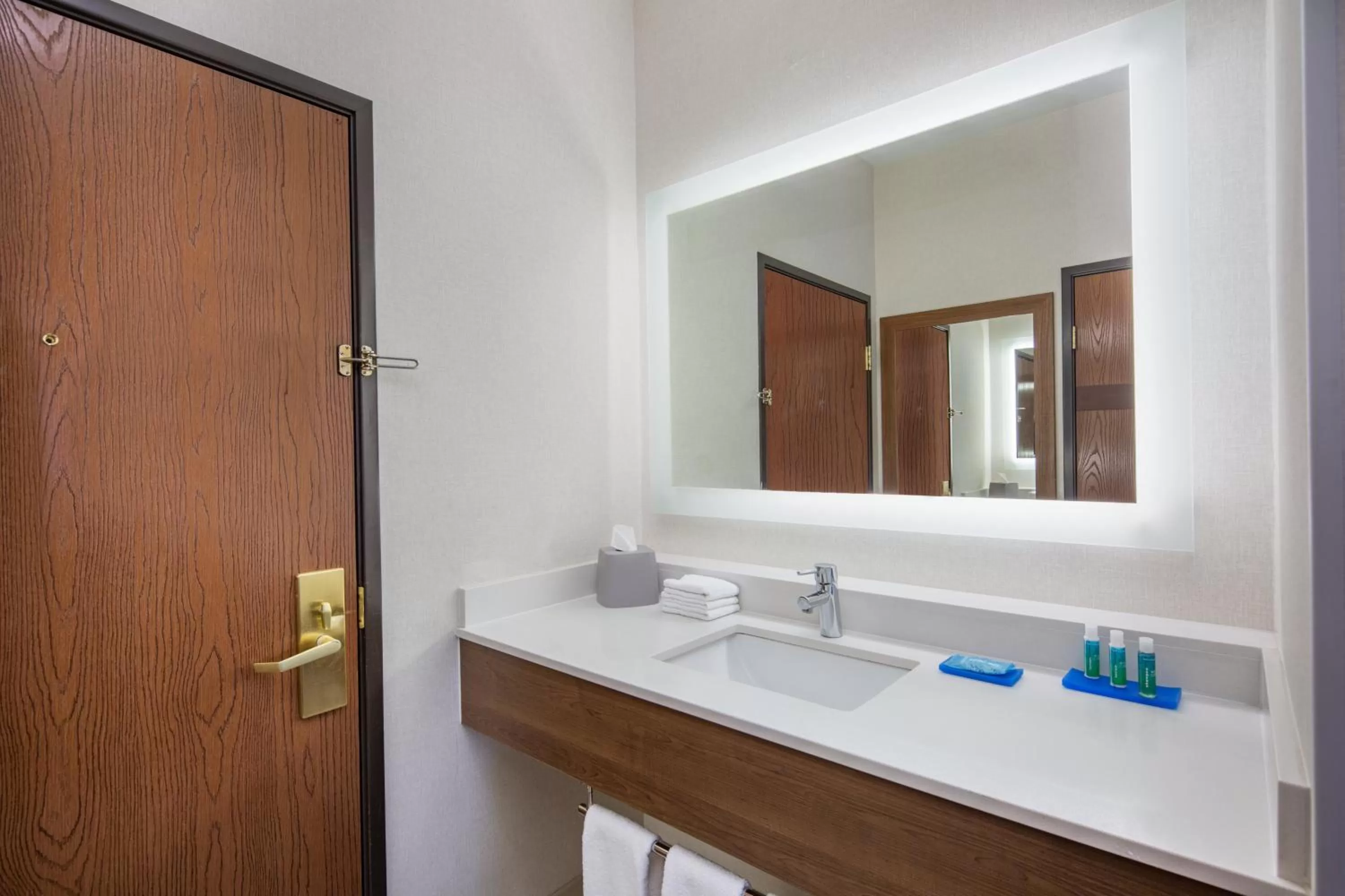 Bathroom in Holiday Inn Express Hotel & Suites Bishop by IHG