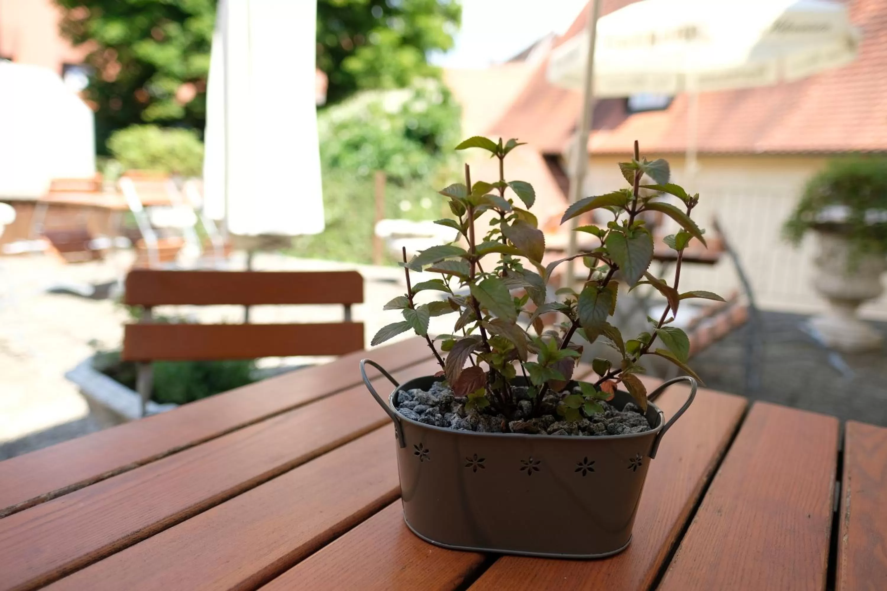 Balcony/Terrace in Romantica Hotel Blauer Hecht