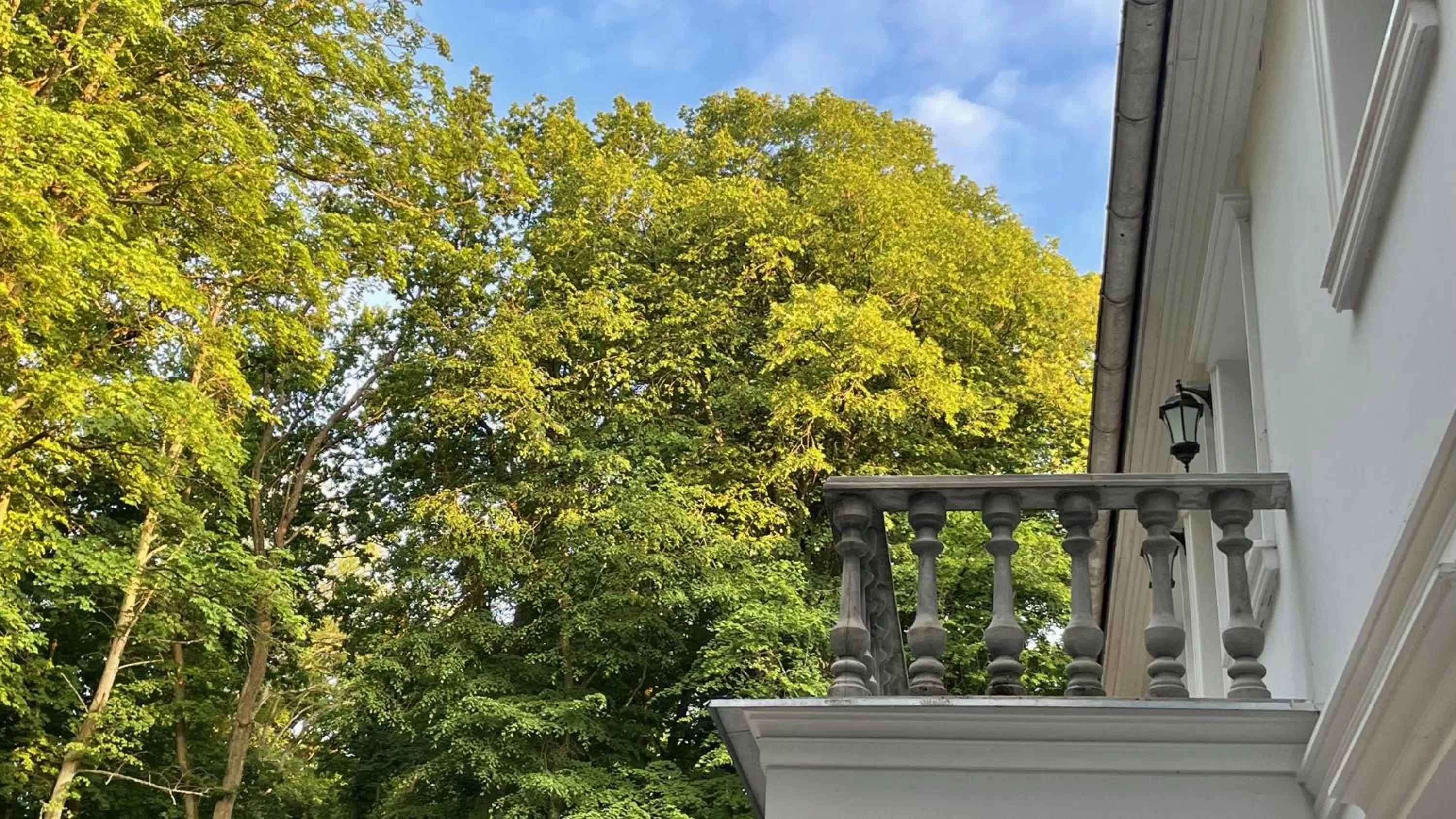 Balcony/Terrace in Villa ANSER