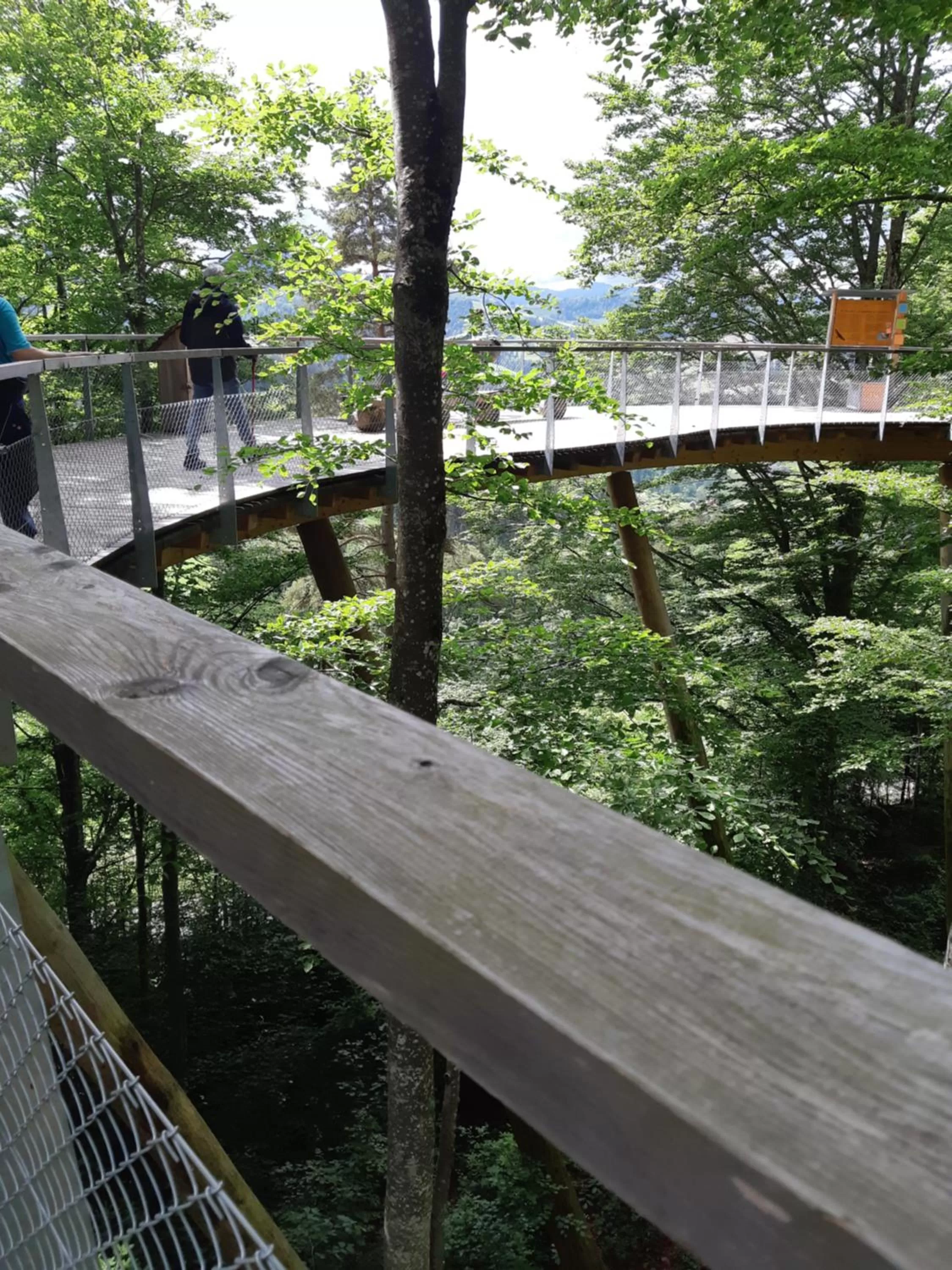 Natural landscape, Balcony/Terrace in Gästehaus Aemisegg