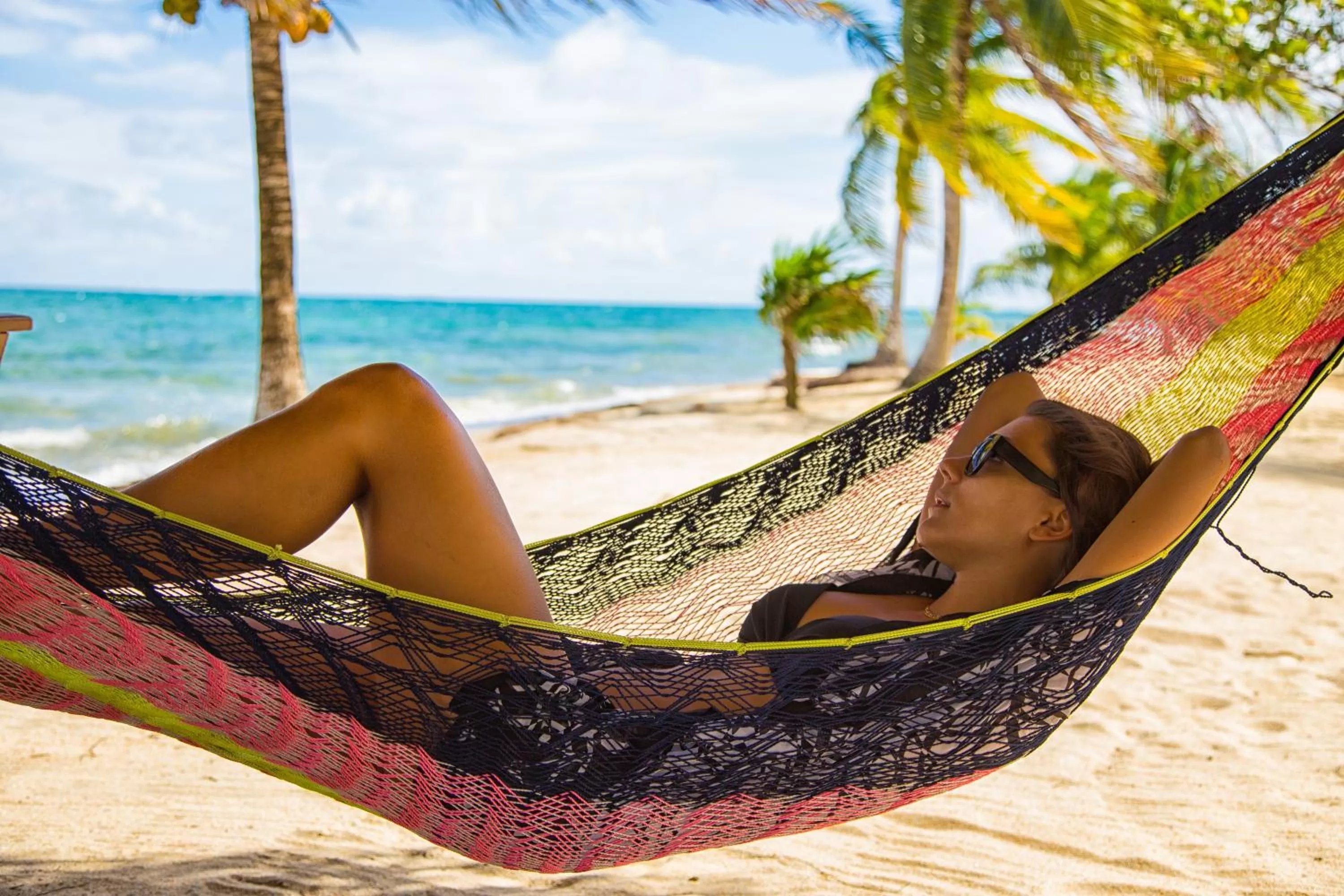 Day, Beach in Wild Orchid