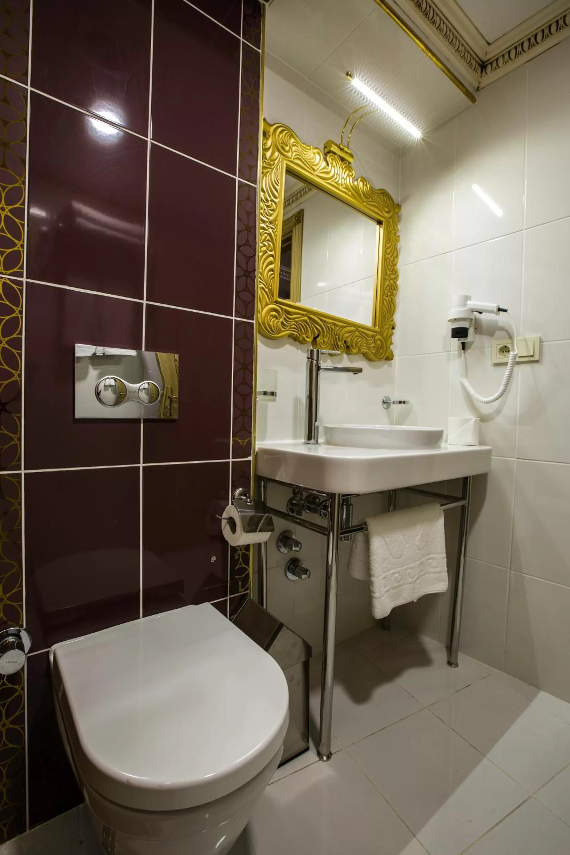 Bathroom in Phosphorion