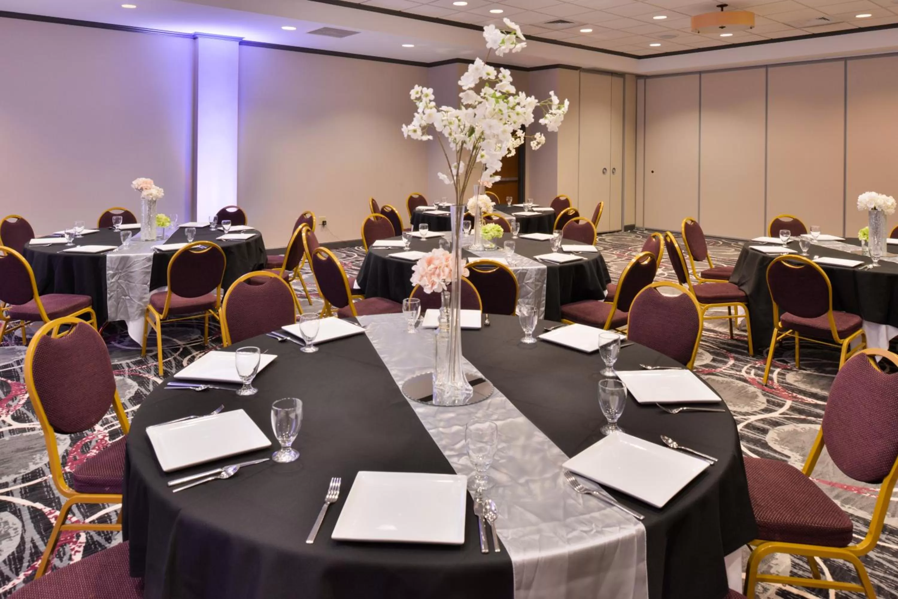 Banquet/Function facilities in Holiday Inn Kansas City Airport by IHG