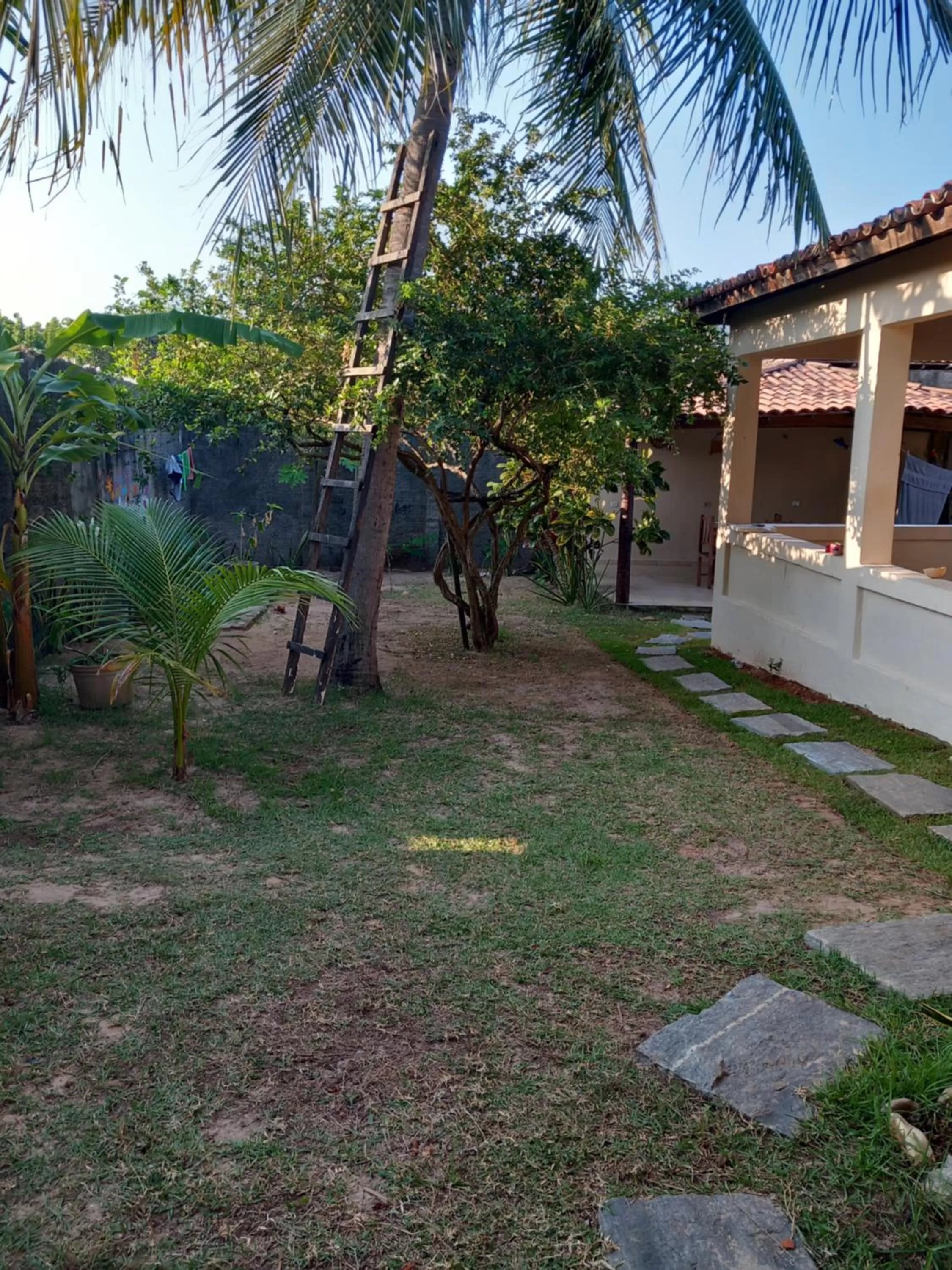 Garden in B&B Pedra do Meio