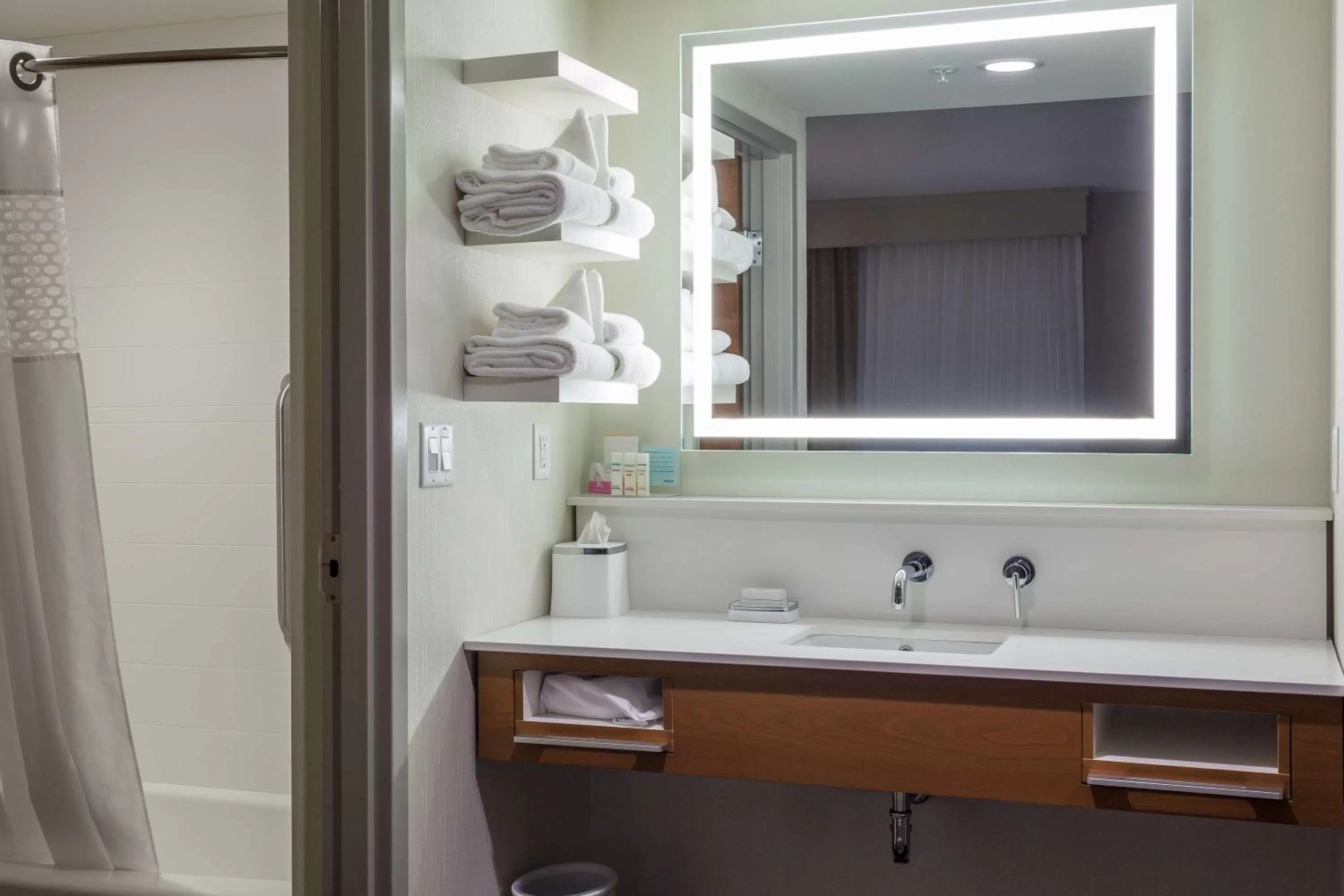 Bathroom in Hampton Inn & Suites - Knoxville Papermill Drive, TN