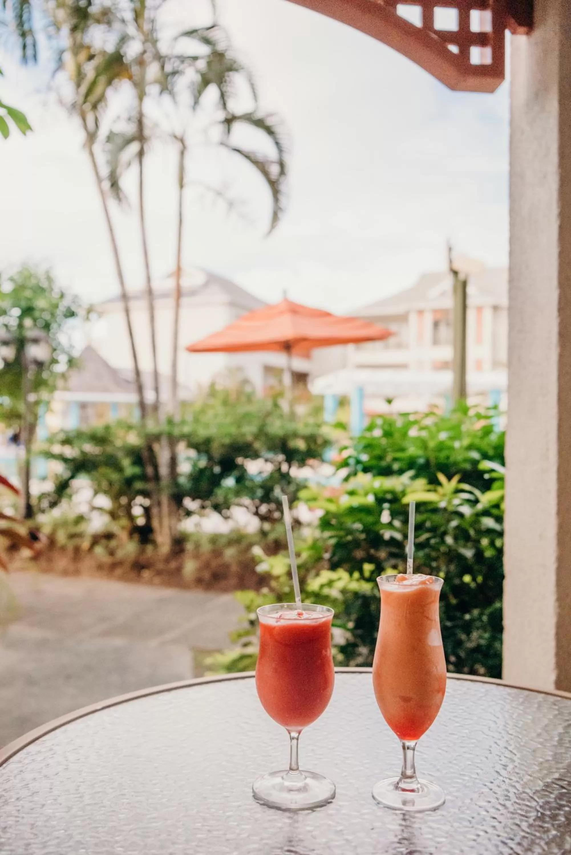 Drinks in Bay Gardens Beach Resort & Spa