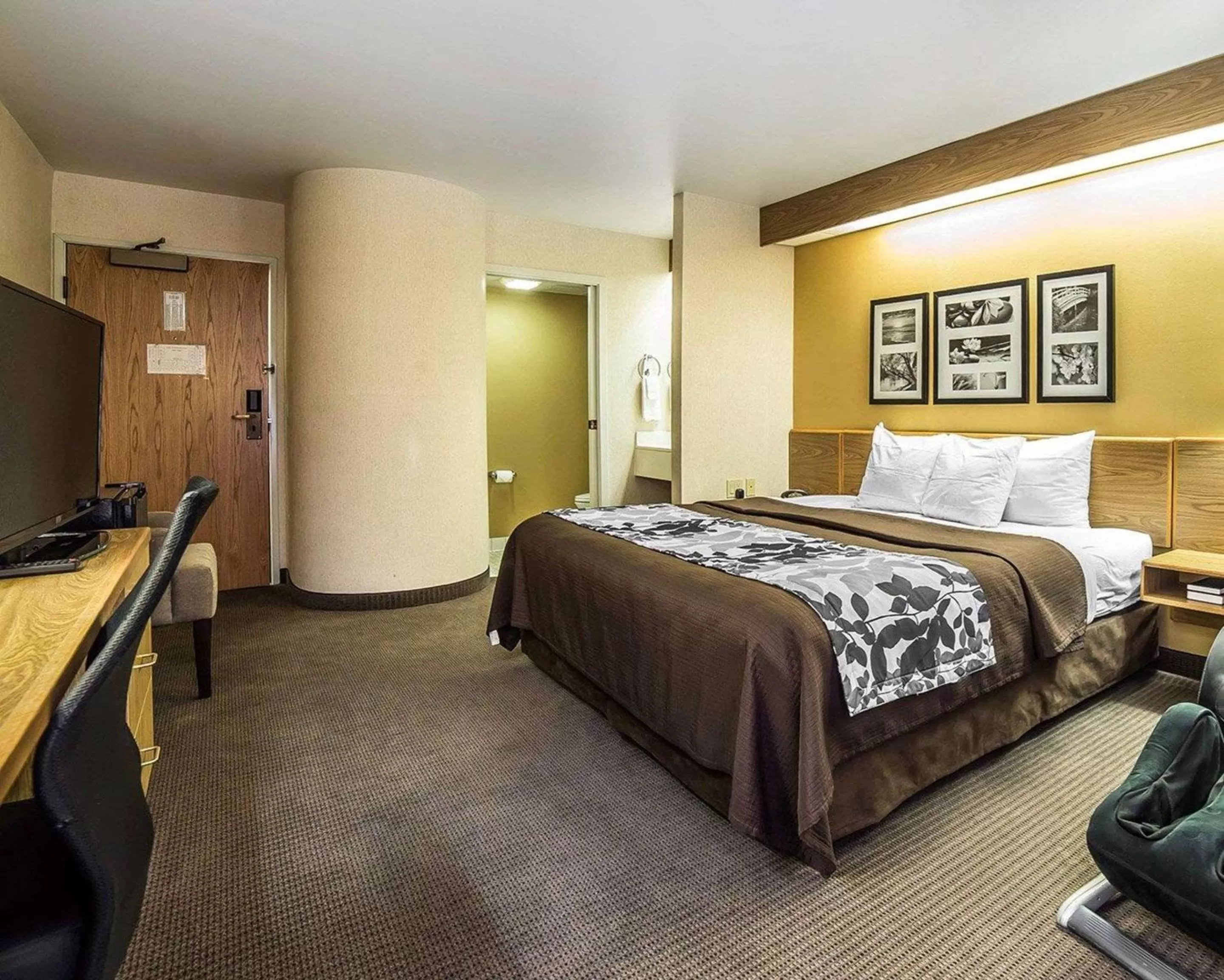 Photo of the whole room, Bed in Quality Inn Moab Slickrock Area