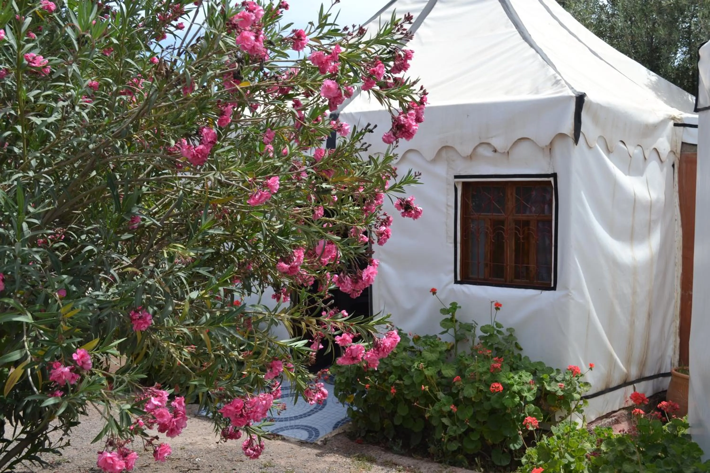 Facade/entrance in Le Relais De Marrakech