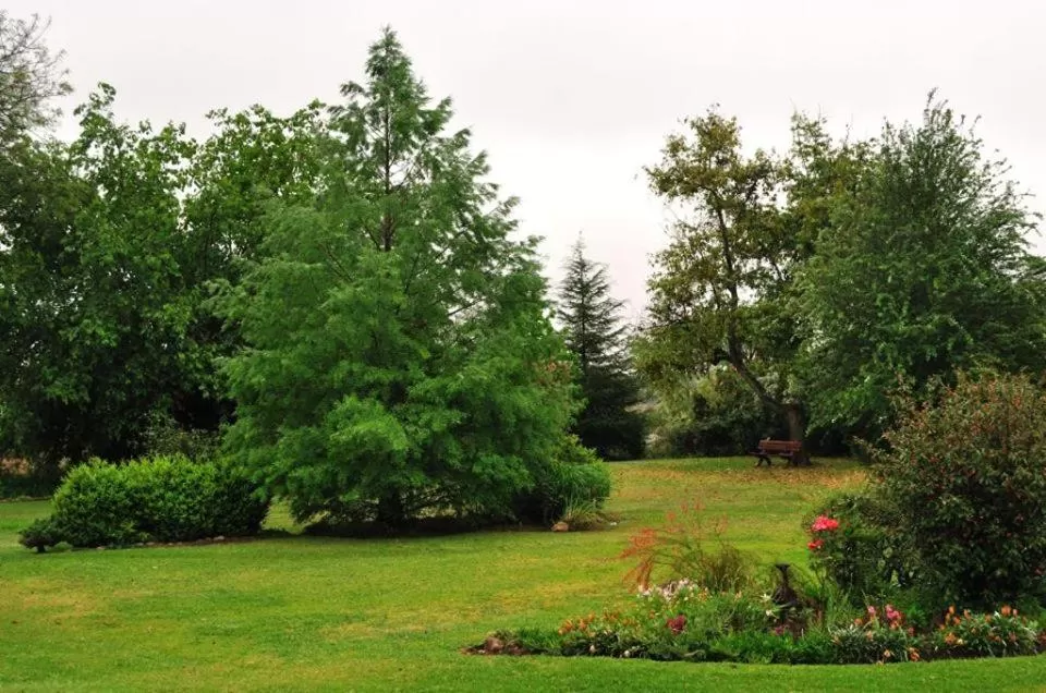 Garden in Finca Cielo Verde