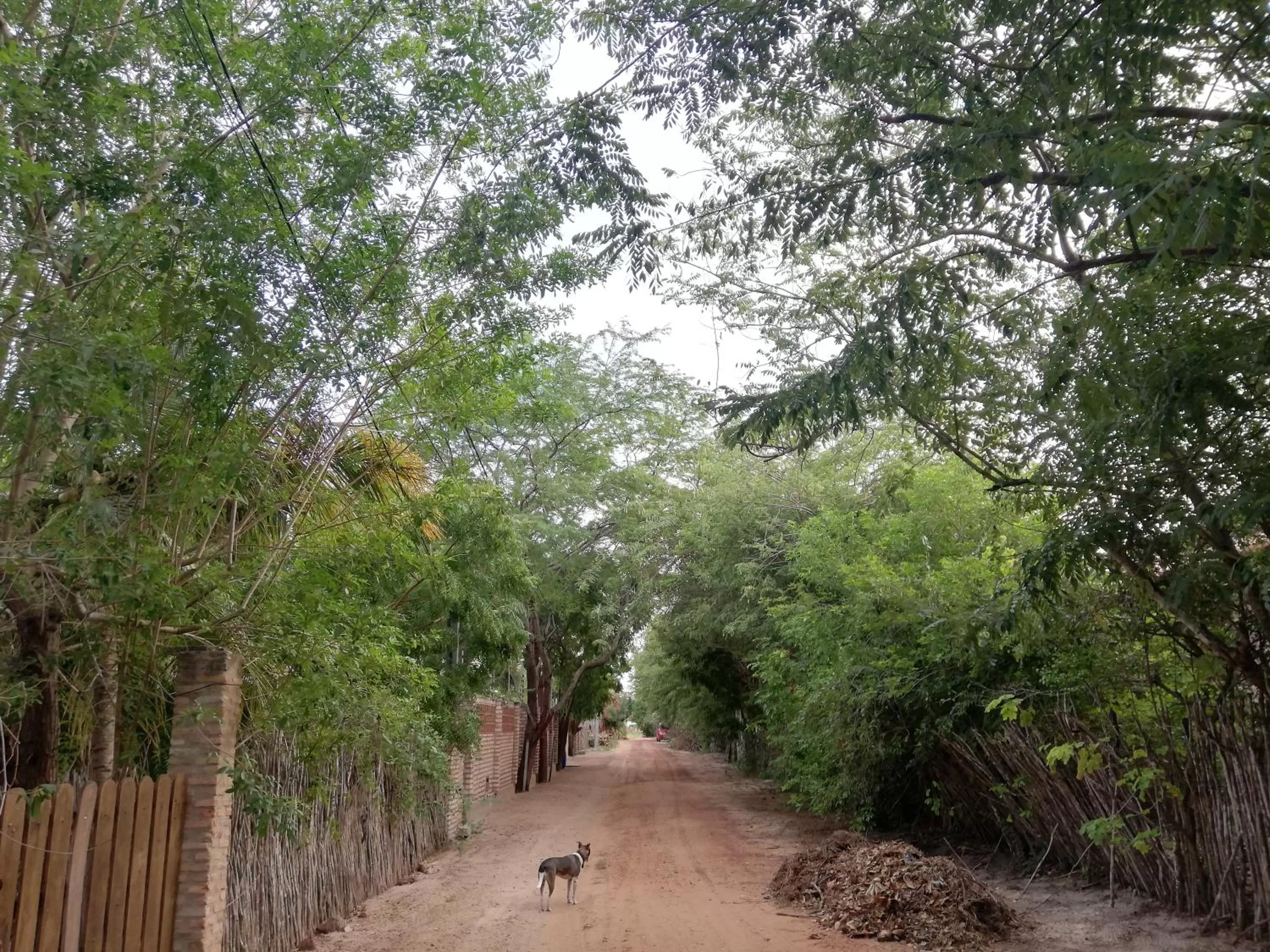 Pousada Casa de João Kitehouse