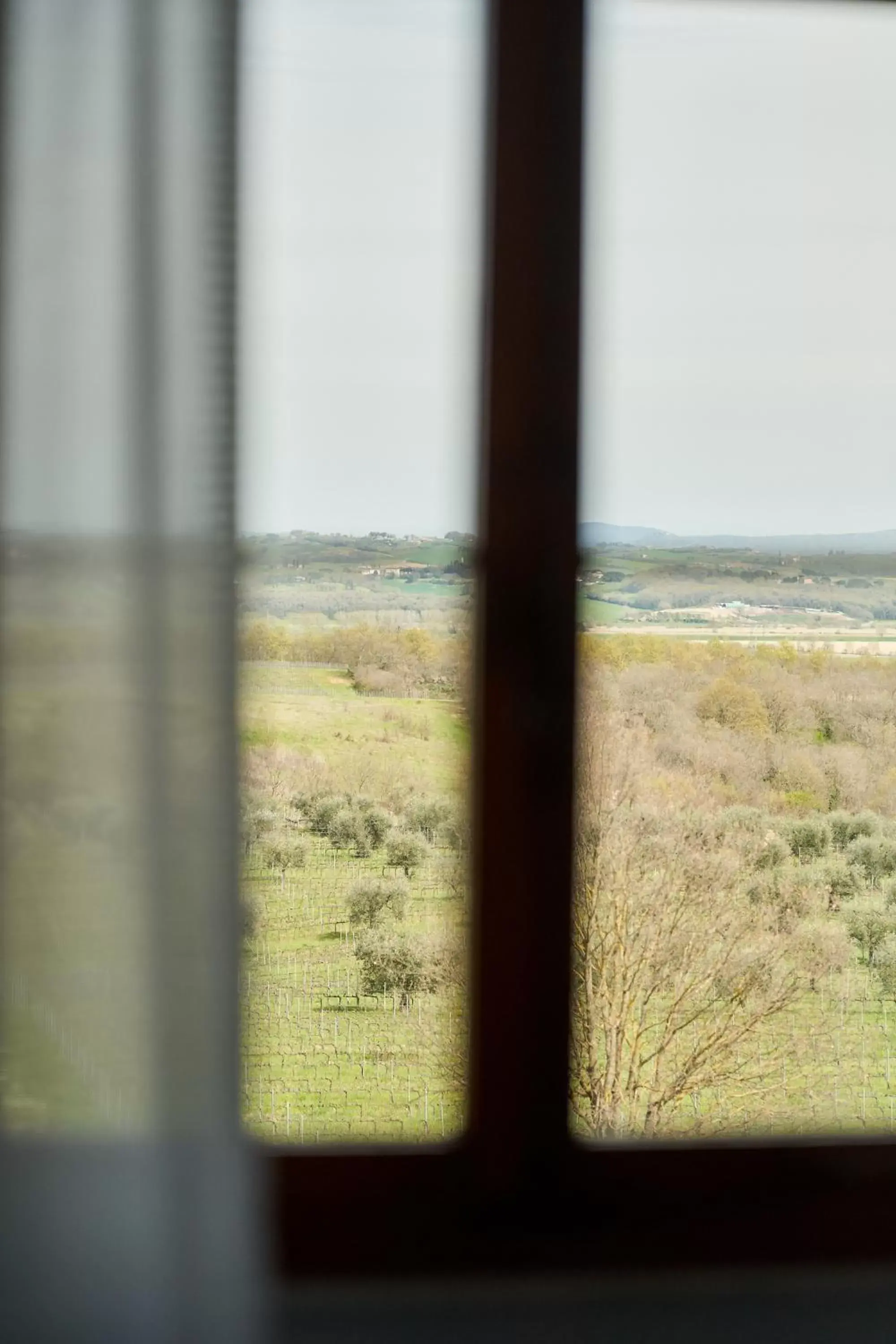 Villa Classic Room in Precise Tale Poggio Alla Sala Villa Classic Room in Precise Tale Poggio Alla Sala