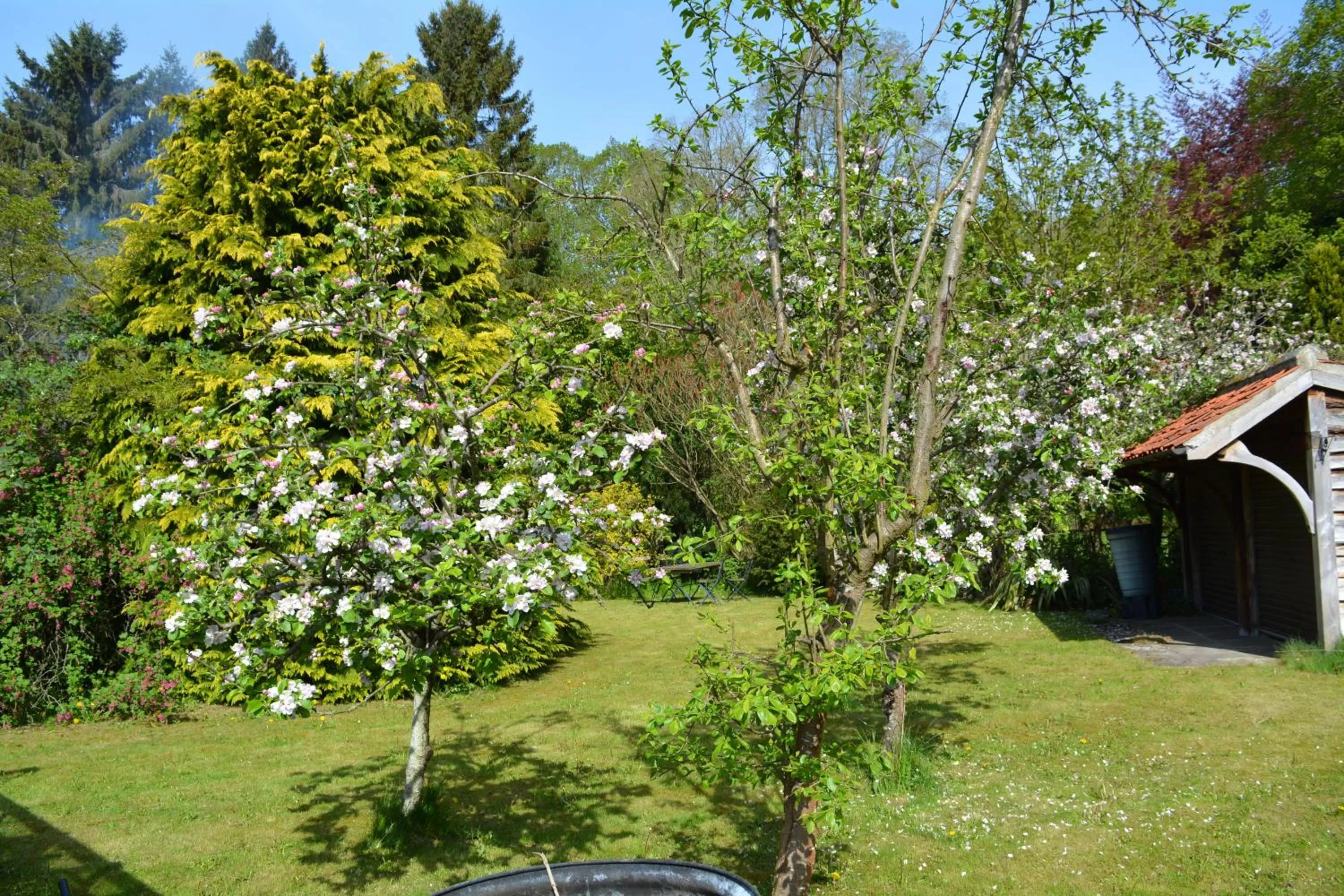 Garden in BohemianBreezeBreaks