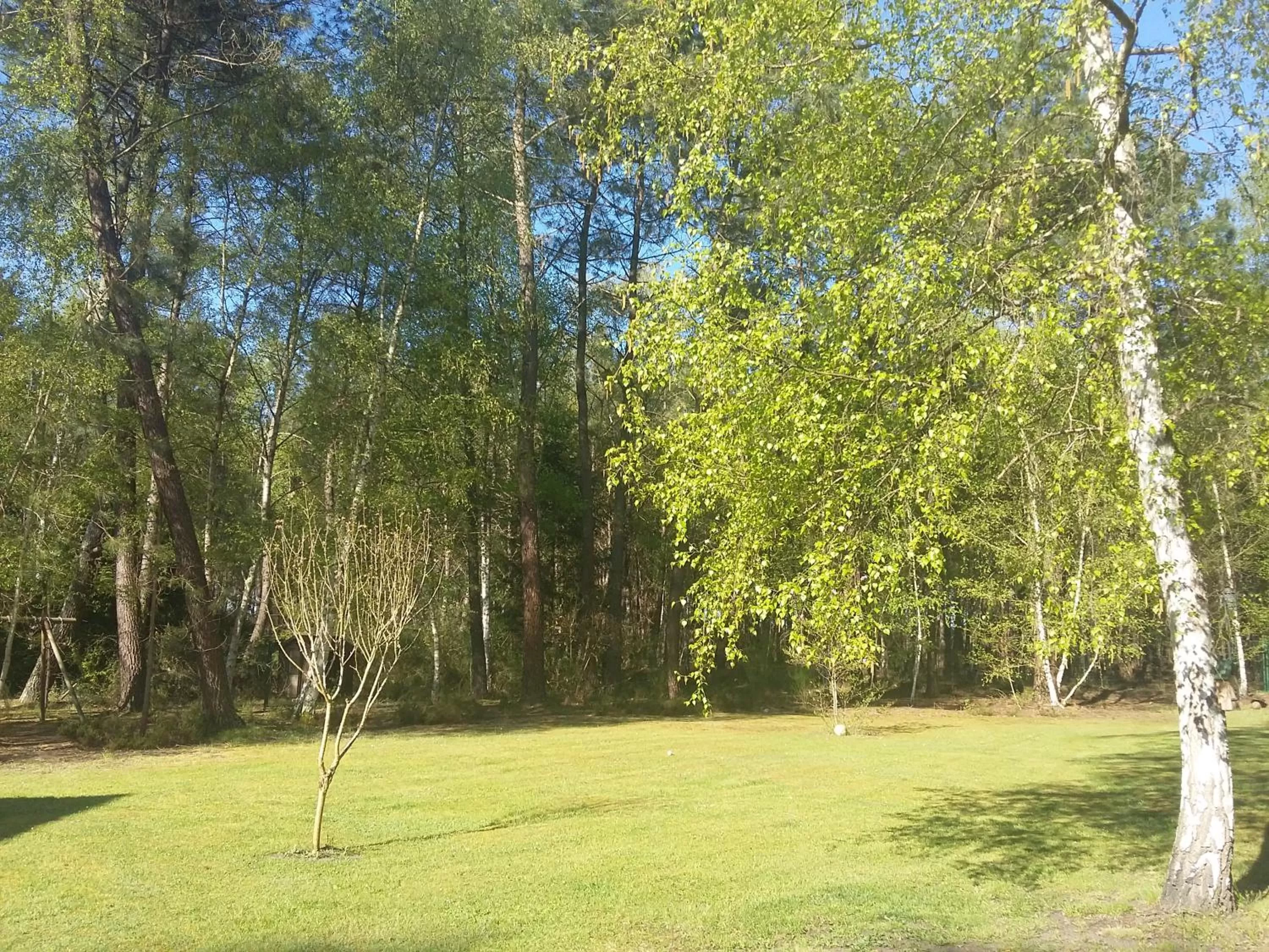 Garden in B&B La Forêt de Charmeuse